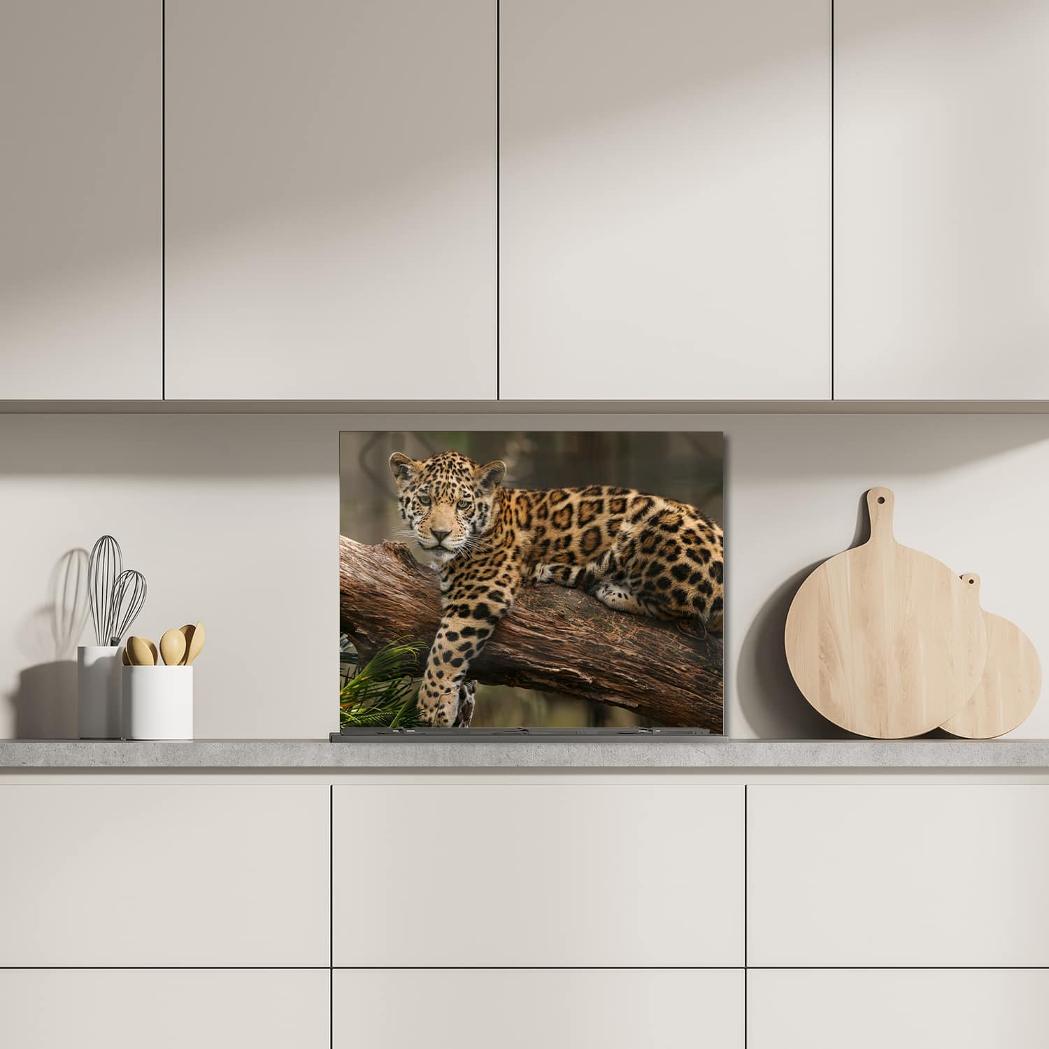 Eigen afmeting spatscherm-op-maat Keuken - Hittebestendig gehard glas - Jaguar in de Boom