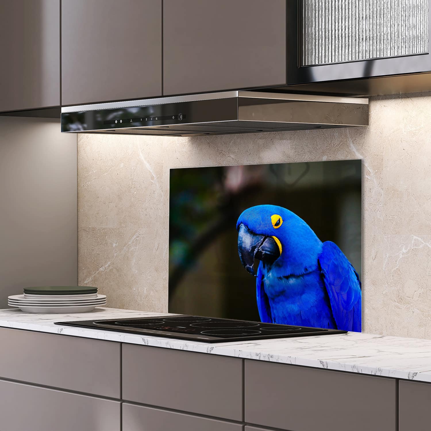 Eigen afmeting spatscherm-op-maat Keuken - Hittebestendig gehard glas - Blauwe Ara