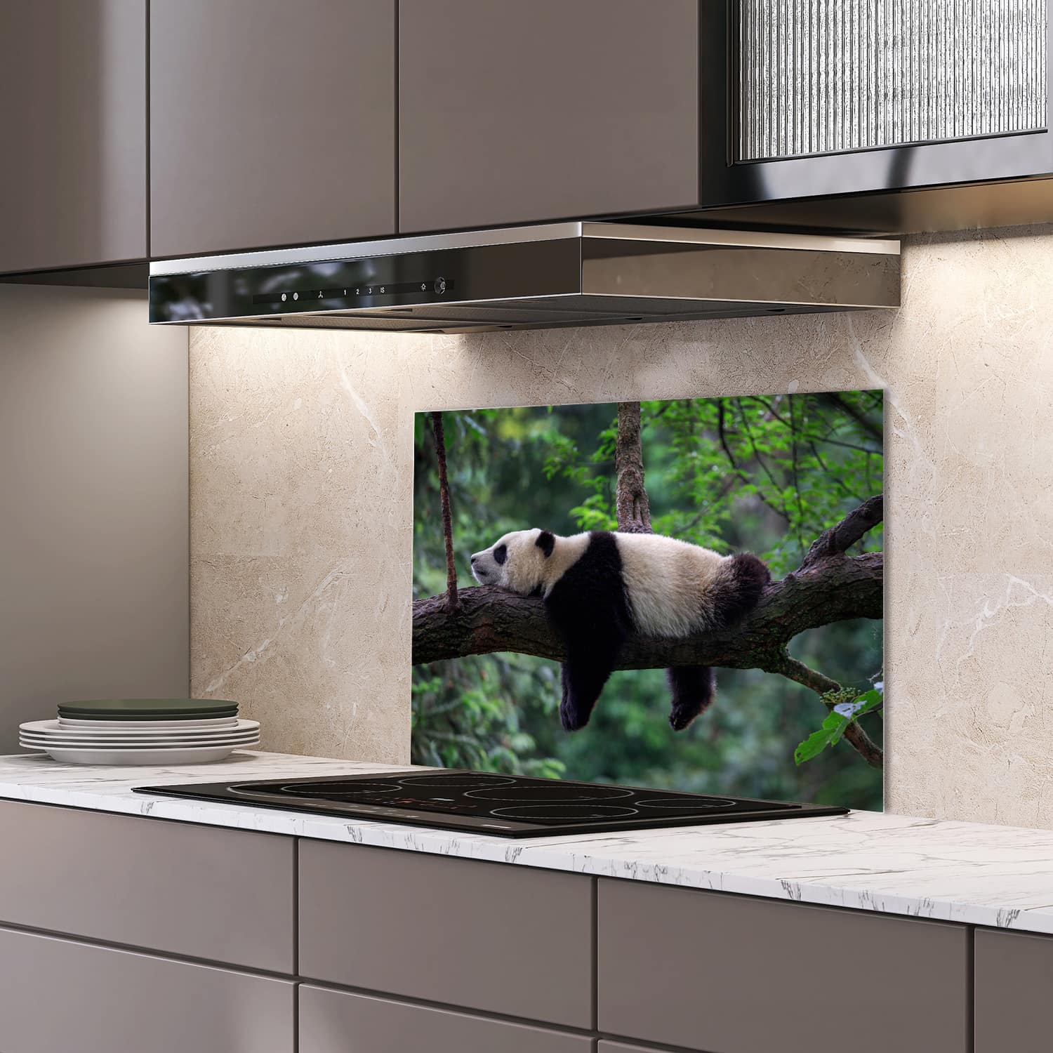 Eigen afmeting spatscherm-op-maat Keuken - Hittebestendig gehard glas - Panda