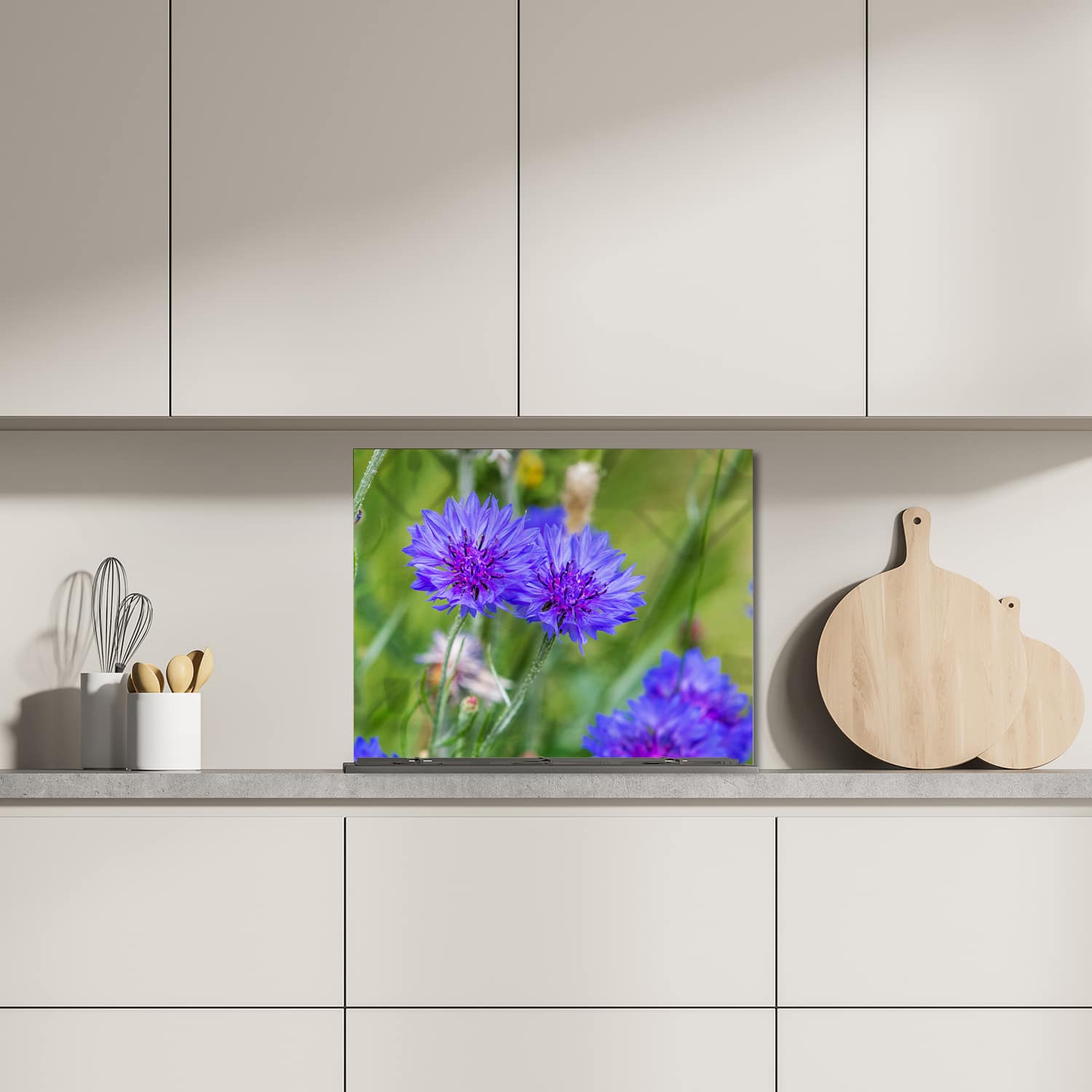 Eigen afmeting spatscherm-op-maat Keuken - Hittebestendig gehard glas - Felblauw/paarse Korenbloemen