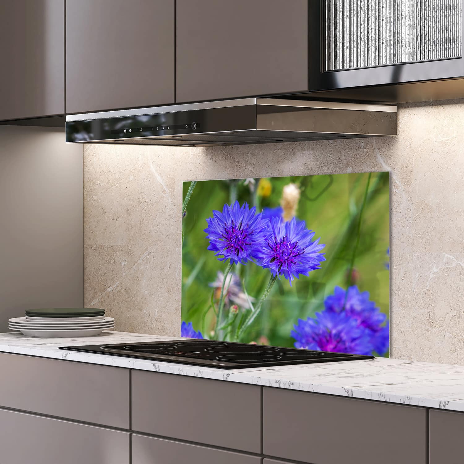 Eigen afmeting spatscherm-op-maat Keuken - Hittebestendig gehard glas - Felblauw/paarse Korenbloemen