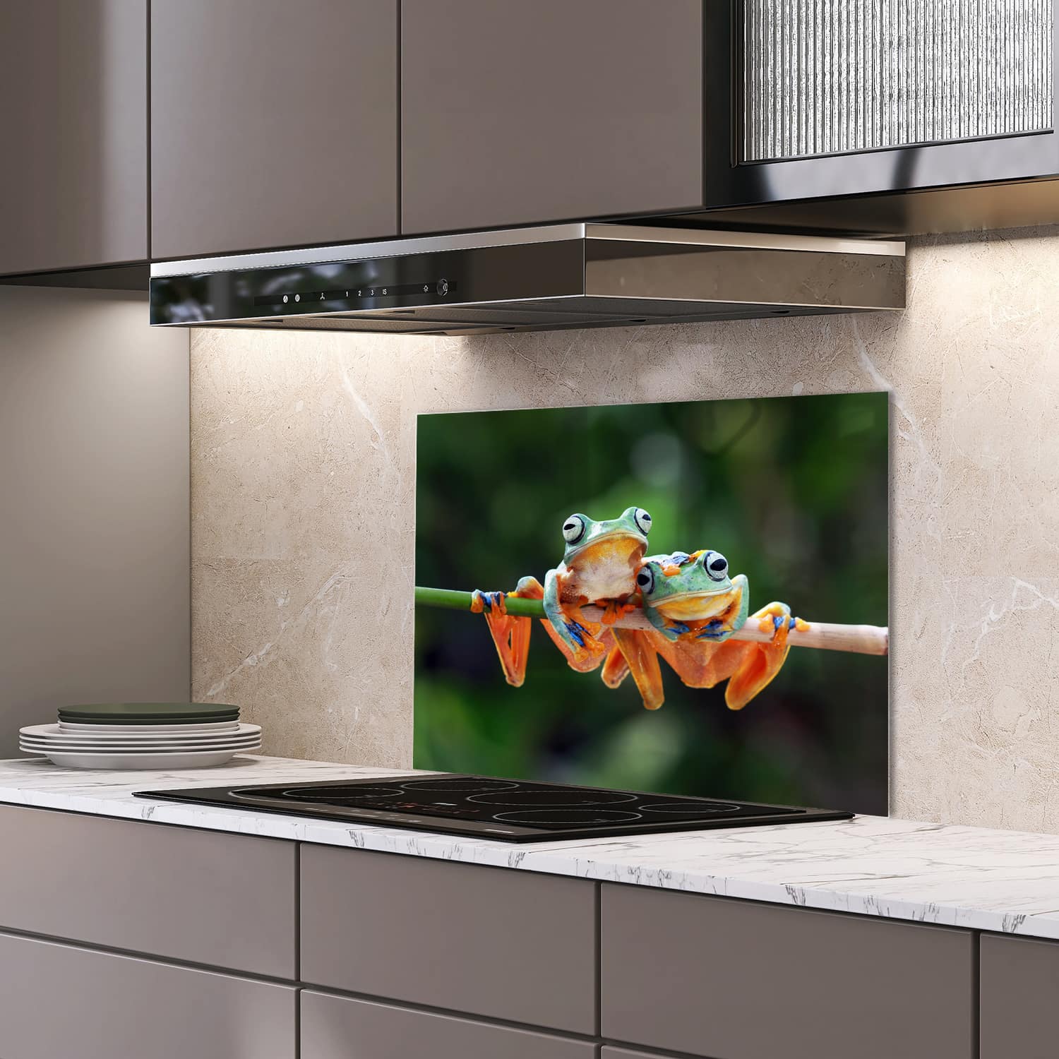 Eigen afmeting spatscherm-op-maat Keuken - Hittebestendig gehard glas - Twee Boomkikkers