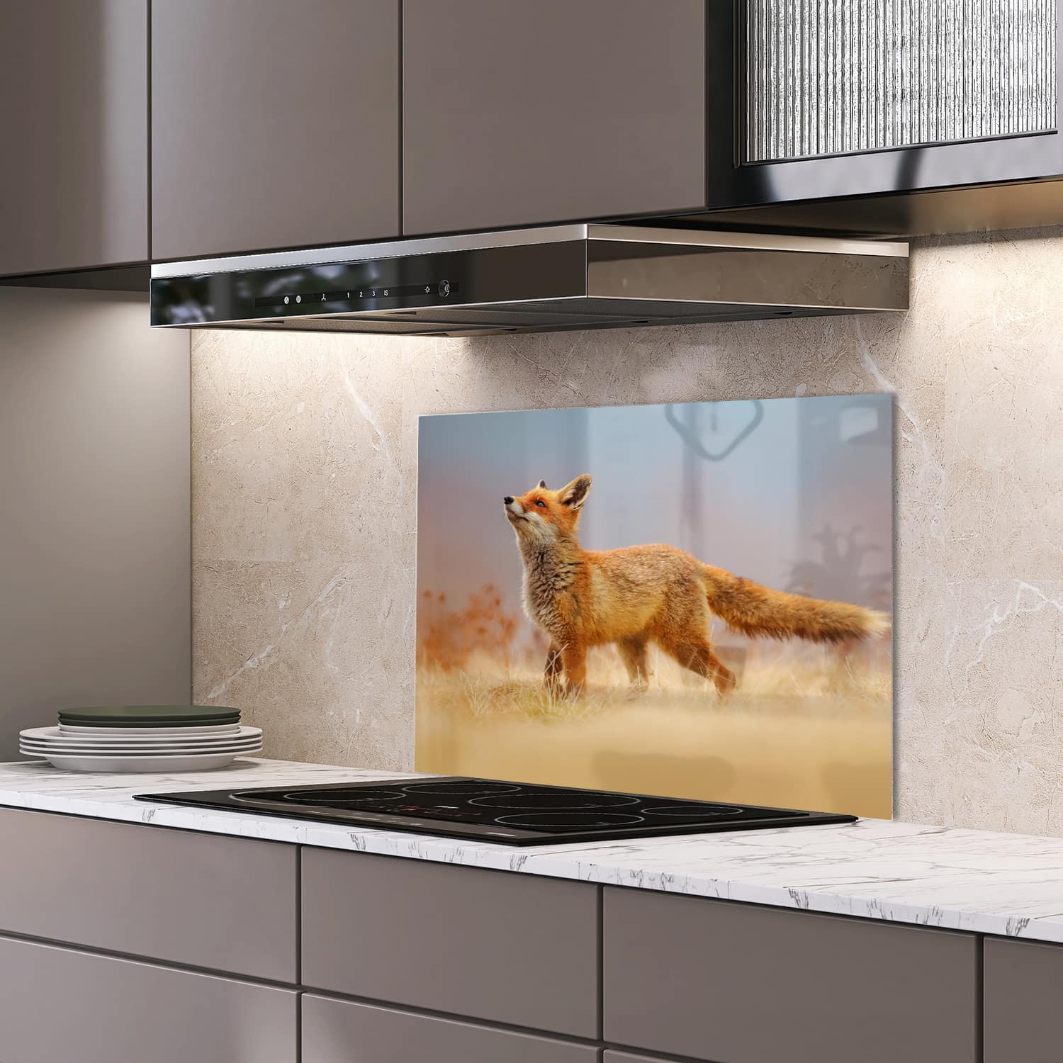 Eigen afmeting spatscherm-op-maat Keuken - Hittebestendig gehard glas - Rode Vos
