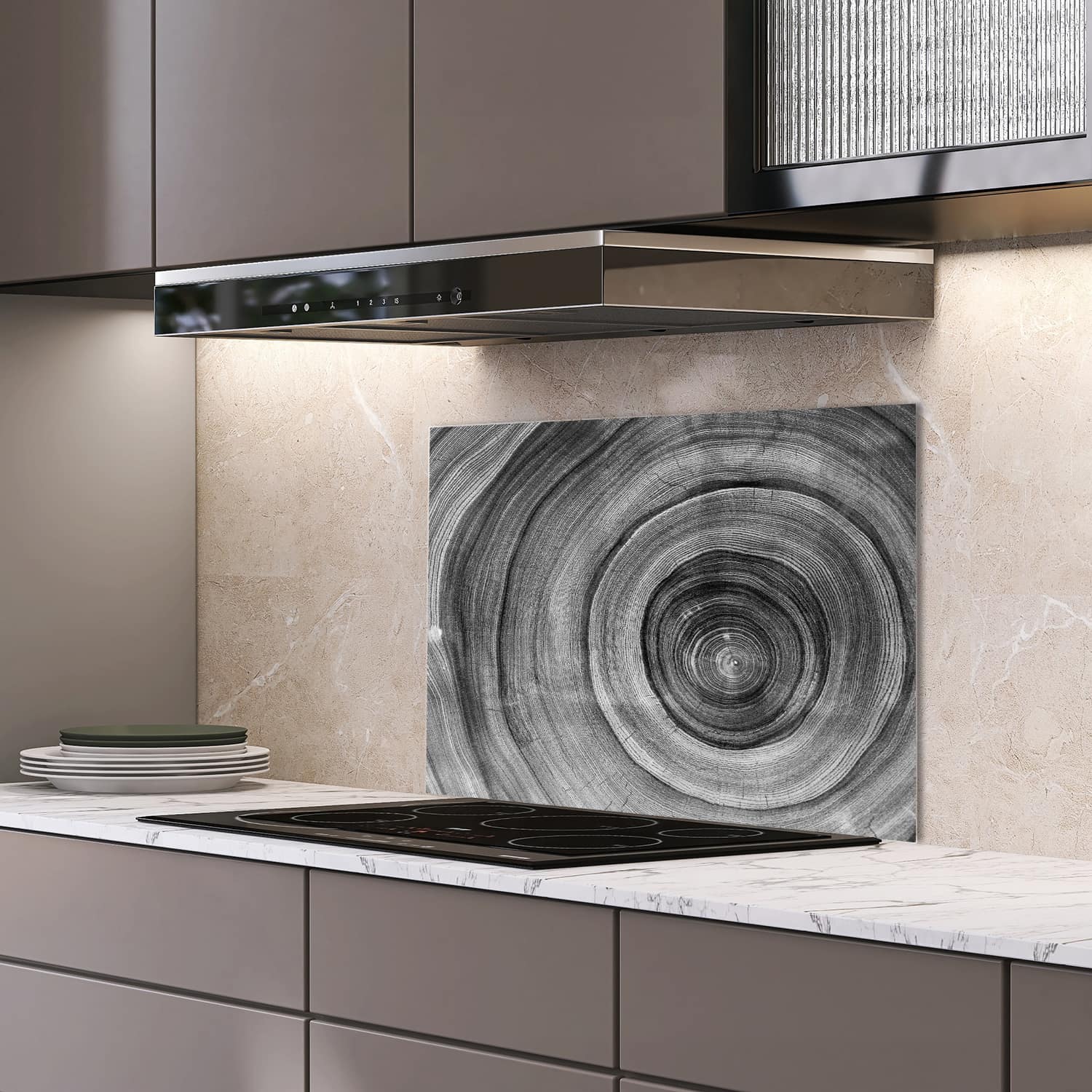 Eigen afmeting spatscherm-op-maat Keuken - Hittebestendig gehard glas - Zwart-Wit Boomringen