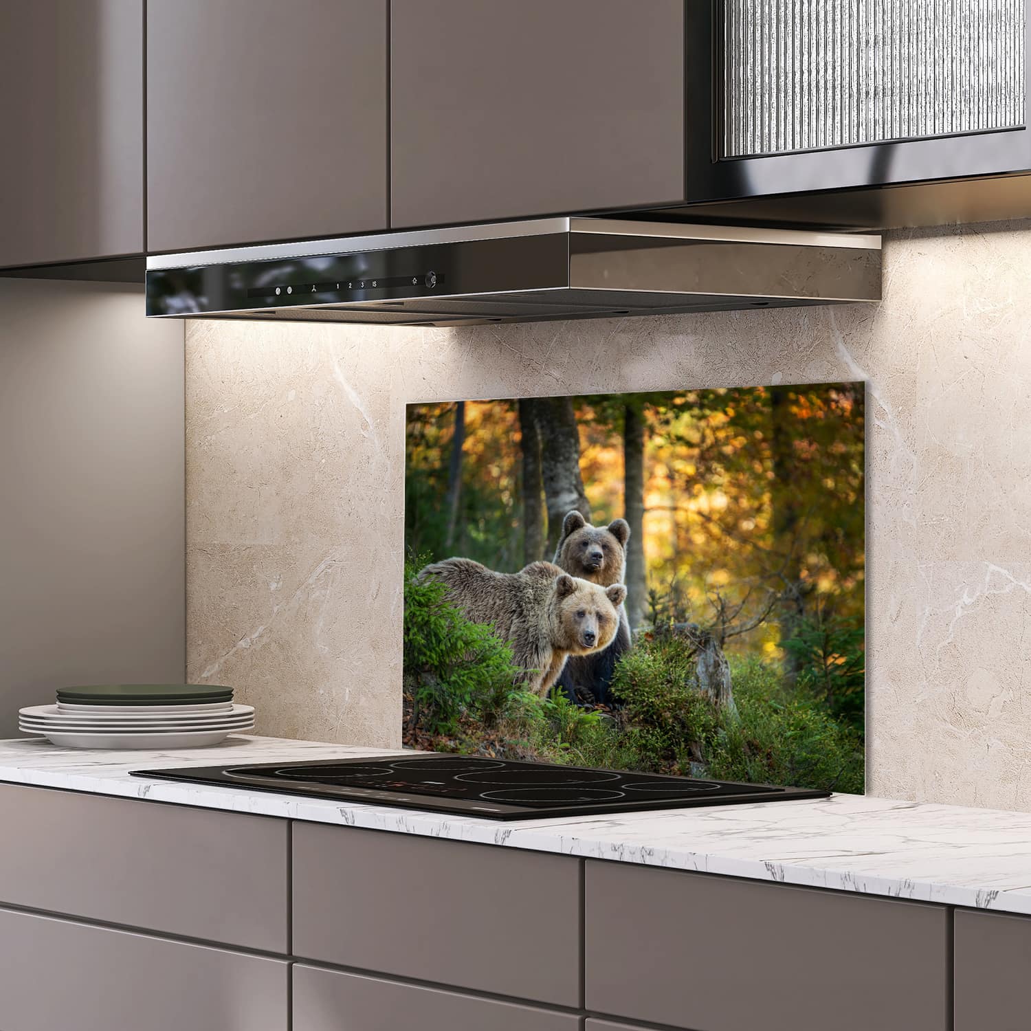 Eigen afmeting spatscherm-op-maat Keuken - Hittebestendig gehard glas - Bruine Beren