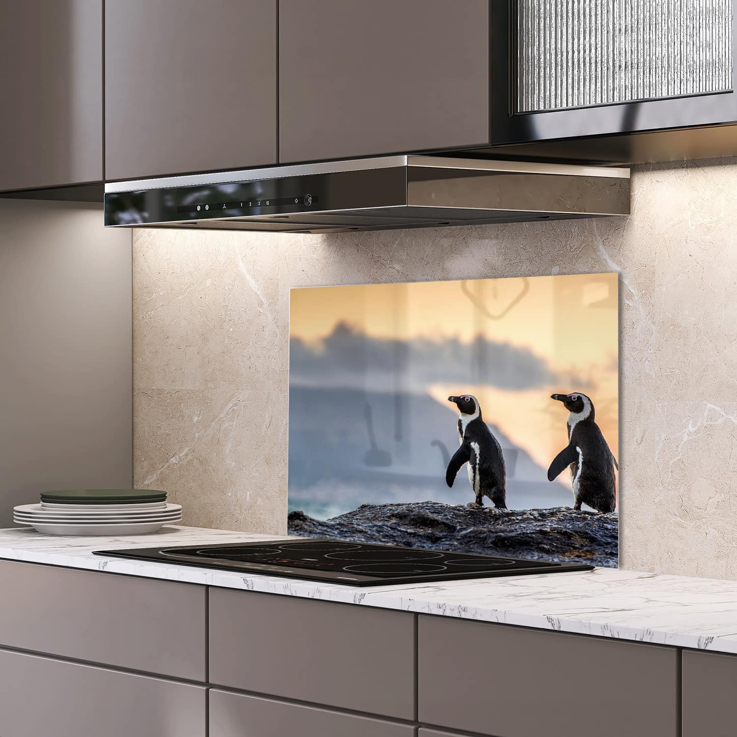 Eigen afmeting spatscherm-op-maat Keuken - Hittebestendig gehard glas - Zwartvoetpinguns