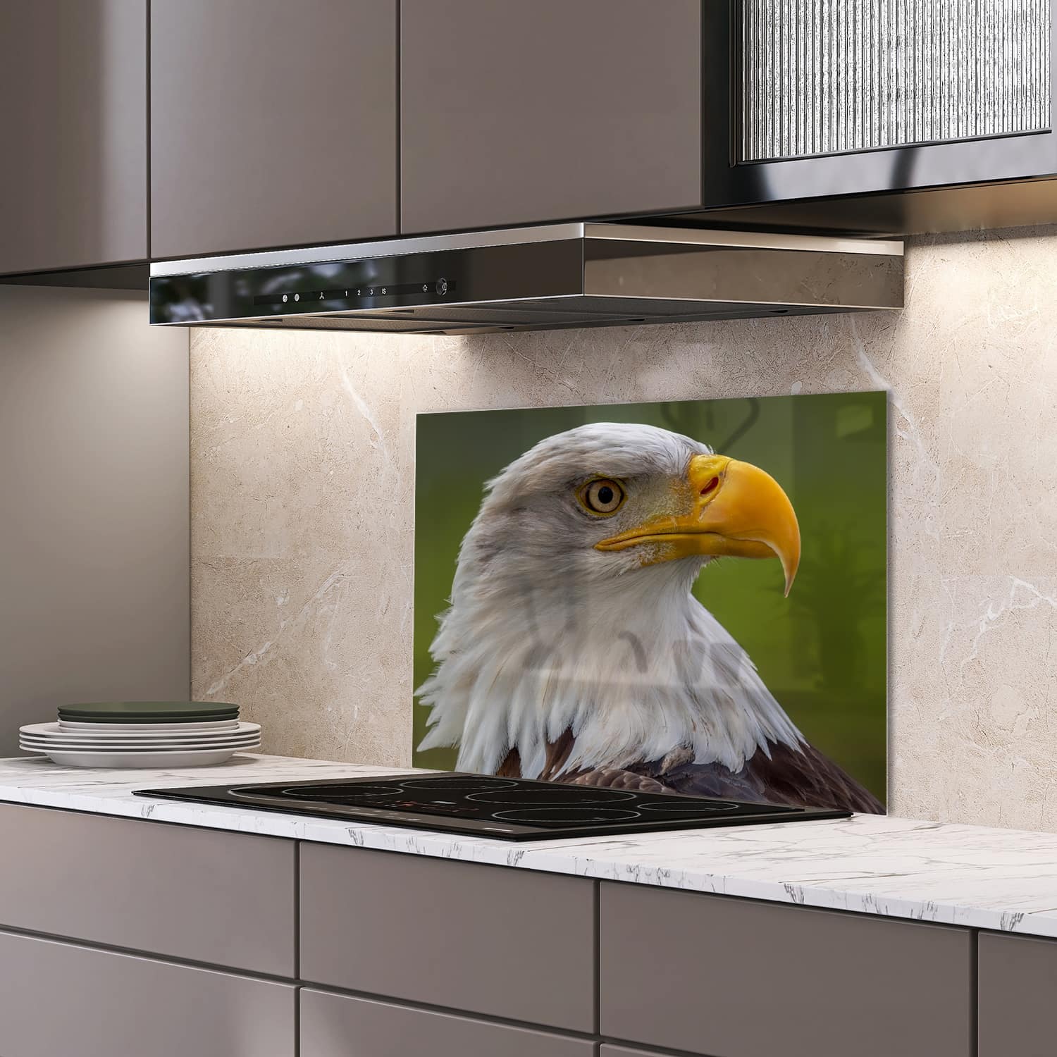 Eigen afmeting spatscherm-op-maat Keuken - Hittebestendig gehard glas - Zeearend