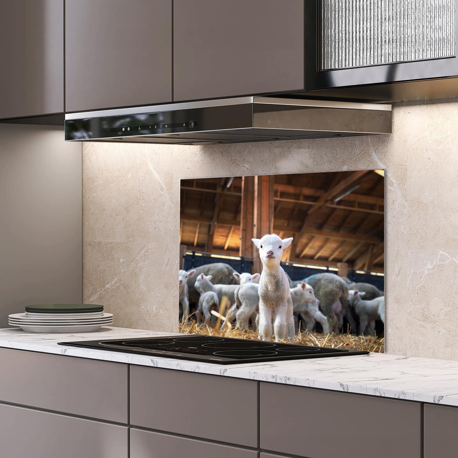 Eigen afmeting spatscherm-op-maat Keuken - Hittebestendig gehard glas - Lammetje