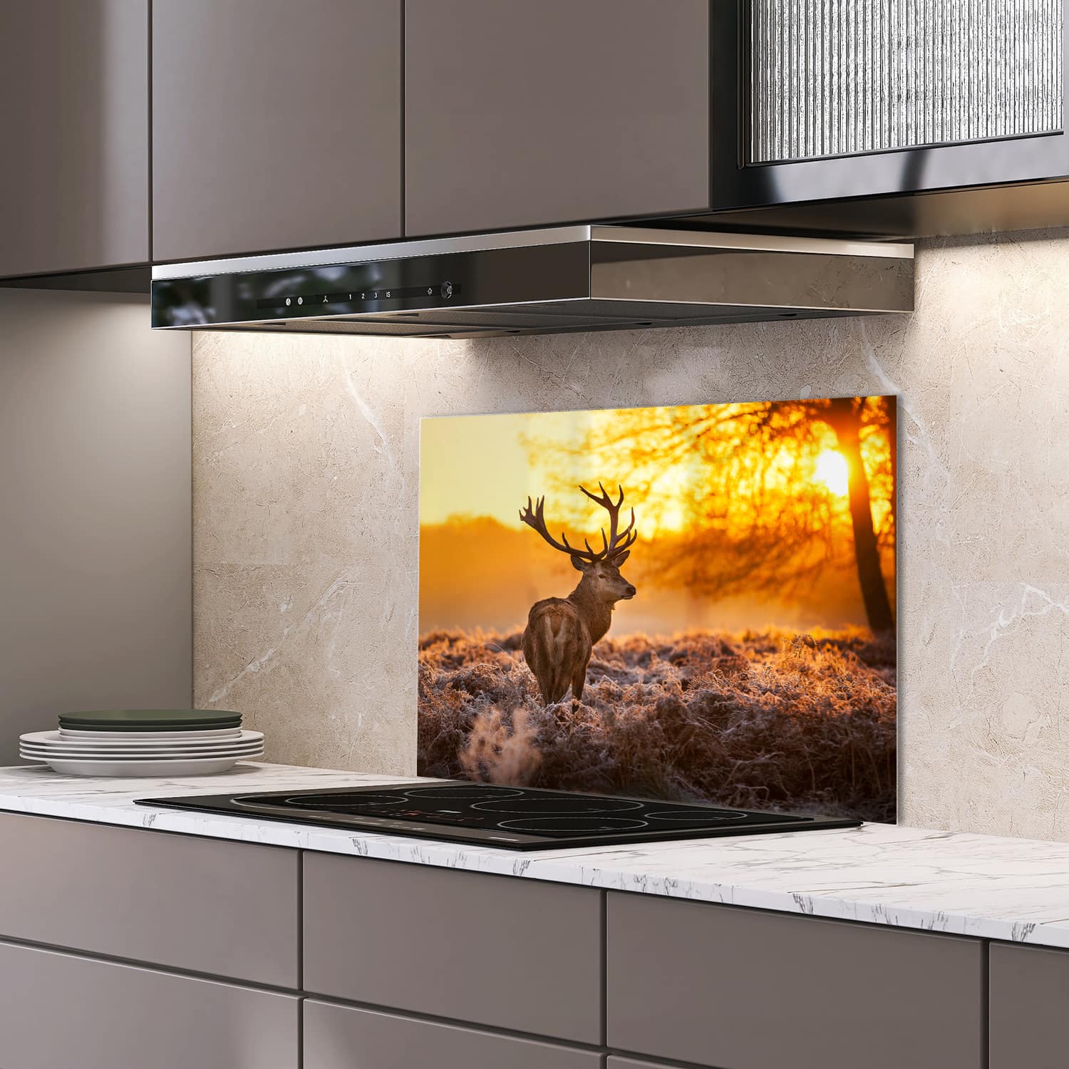 Eigen afmeting spatscherm-op-maat Keuken - Hittebestendig gehard glas - Edelhert in de Ochtendzon