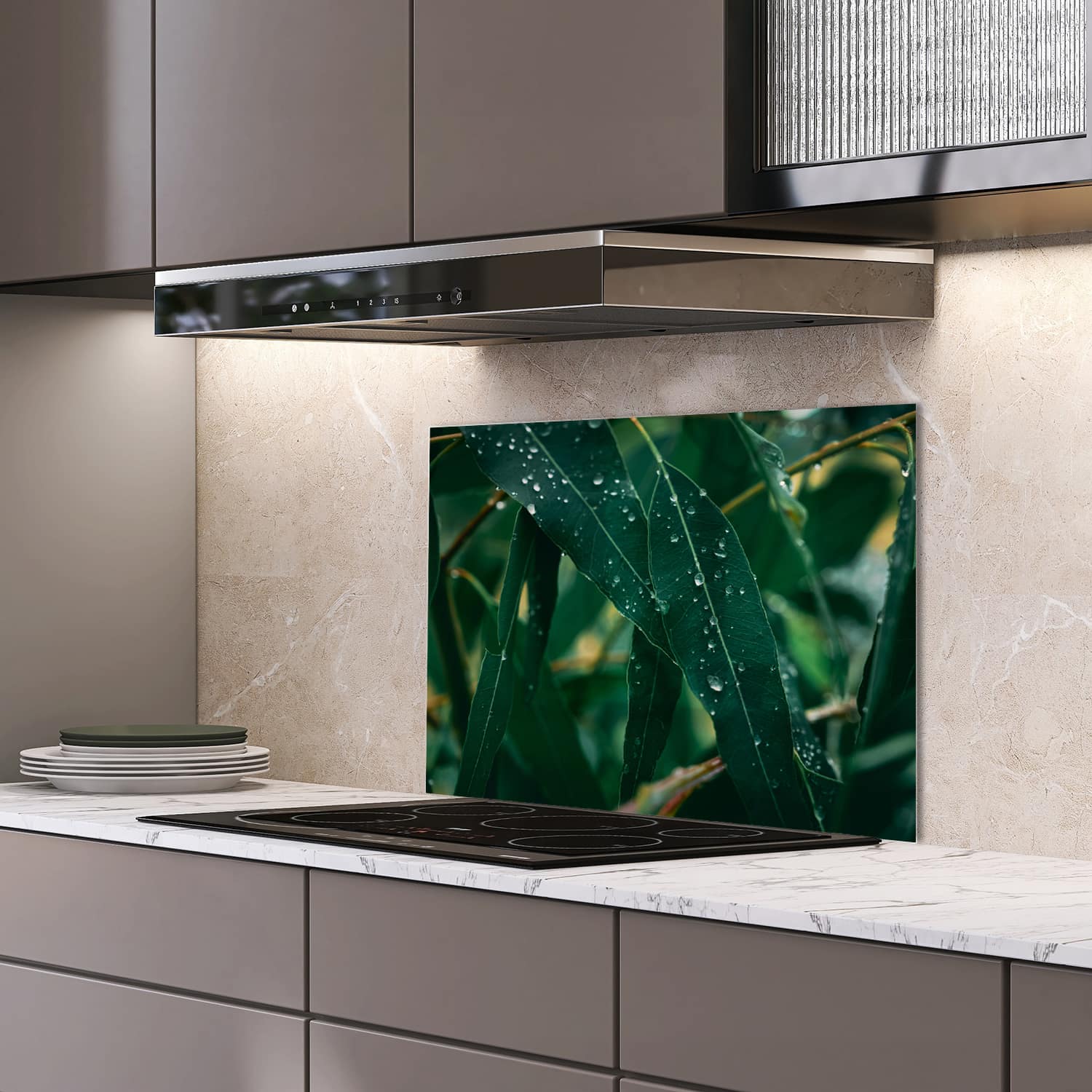 Eigen afmeting spatscherm-op-maat Keuken - Hittebestendig gehard glas - Eucalyptus Bladeren