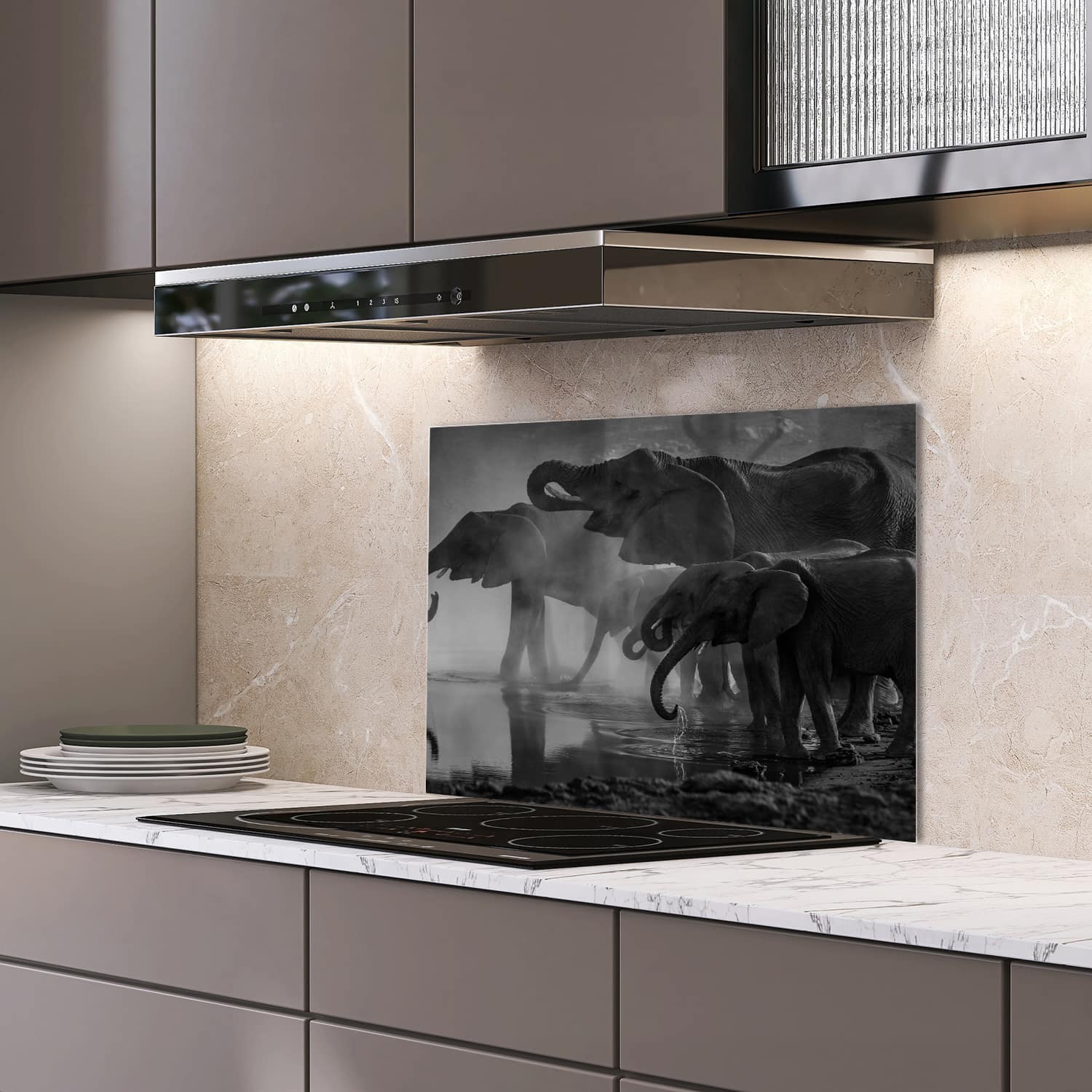 Eigen afmeting spatscherm-op-maat Keuken - Hittebestendig gehard glas - Zwart-Wit Olifanten