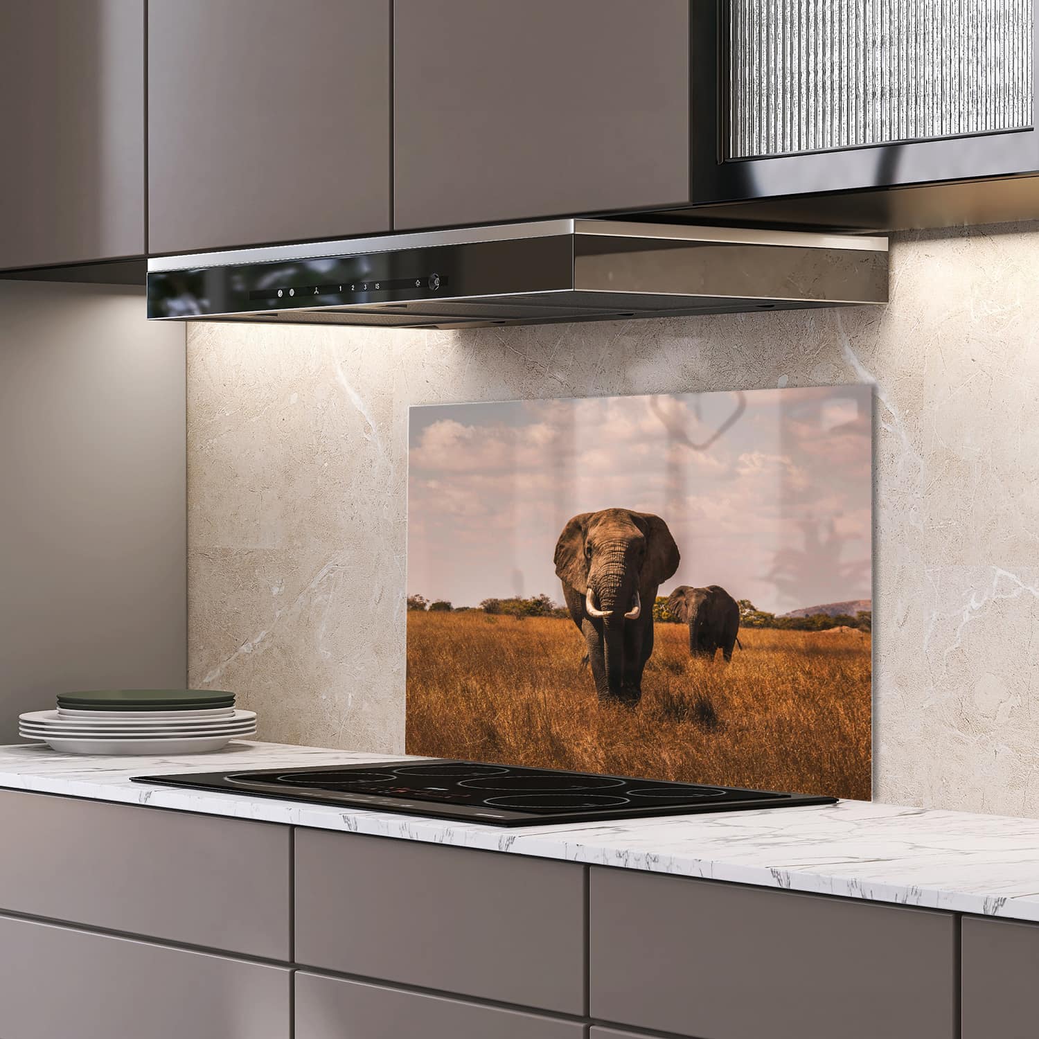 Eigen afmeting spatscherm-op-maat Keuken - Hittebestendig gehard glas - Olifanten in het veld