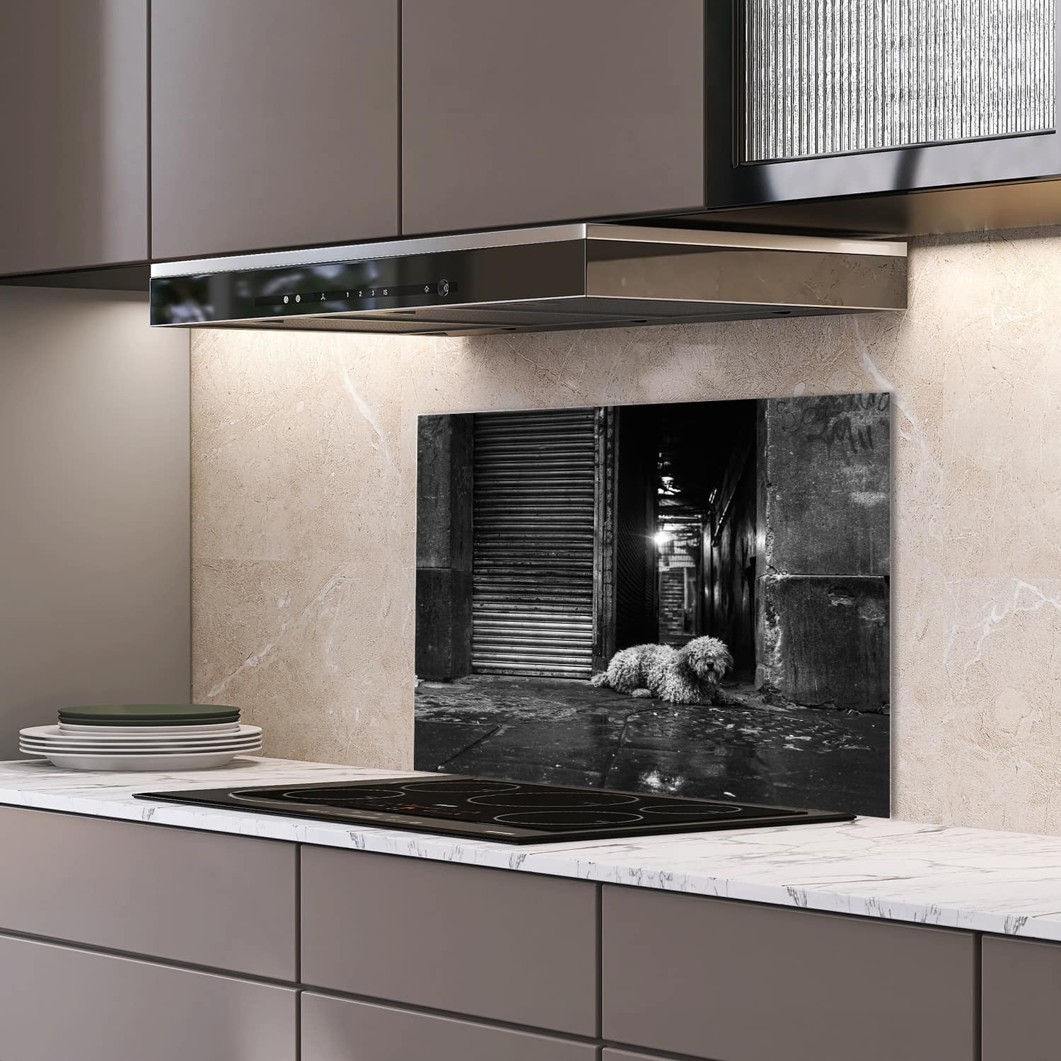 Eigen afmeting spatscherm-op-maat Keuken - Hittebestendig gehard glas - Zwart-Wit Hond op Straat