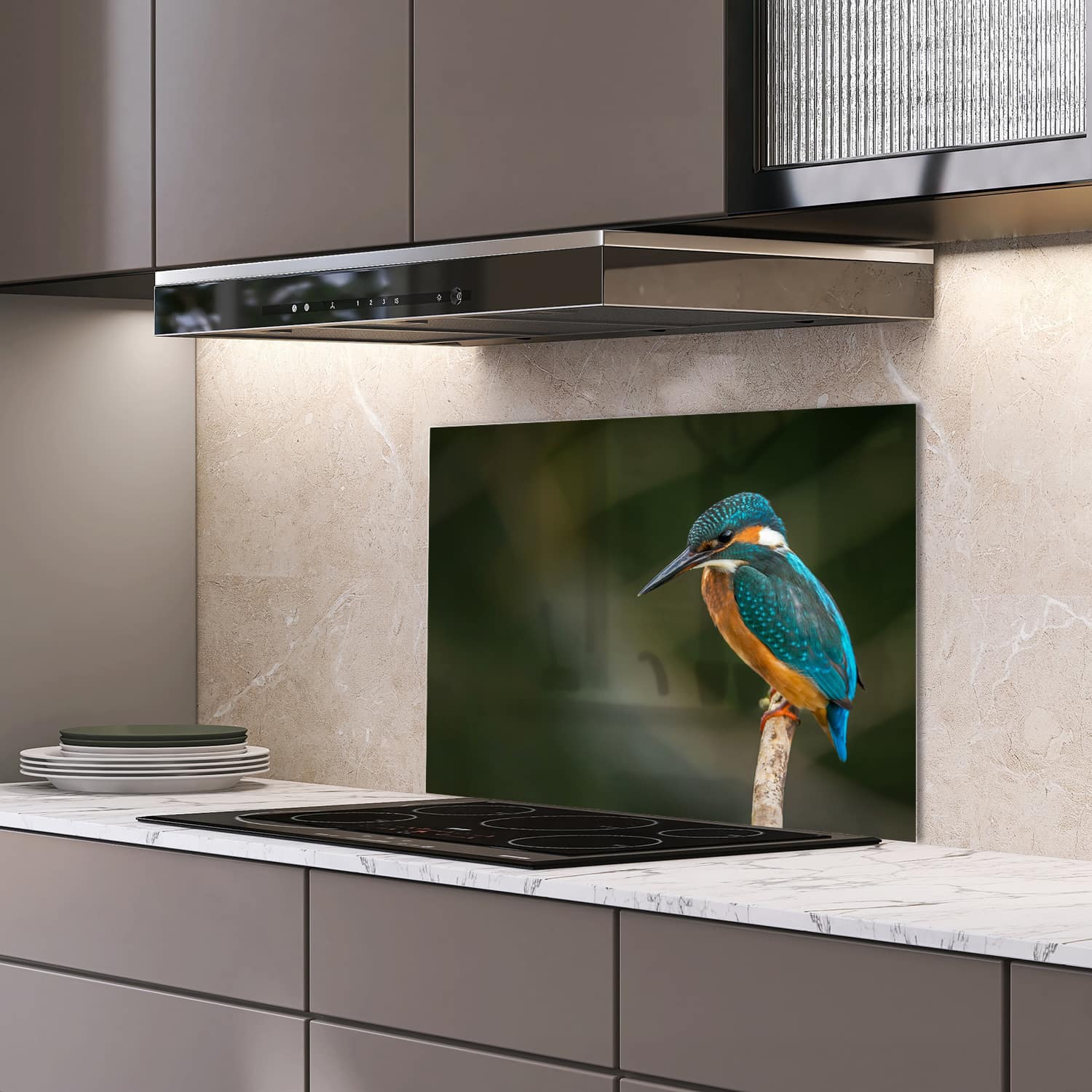 Eigen afmeting spatscherm-op-maat Keuken - Hittebestendig gehard glas - Kleurrijke ijsvogel