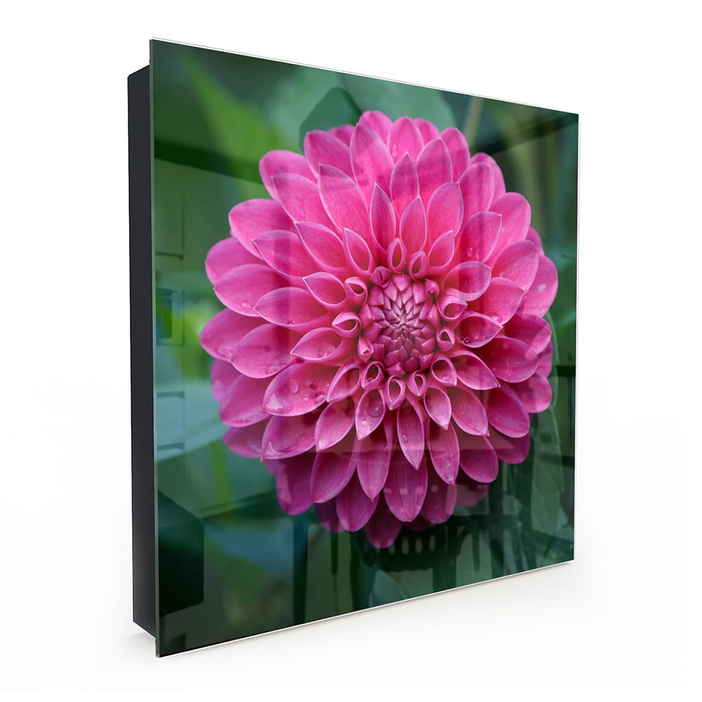 Sleutelkastje - Gehard Glas - Roze Dahlia