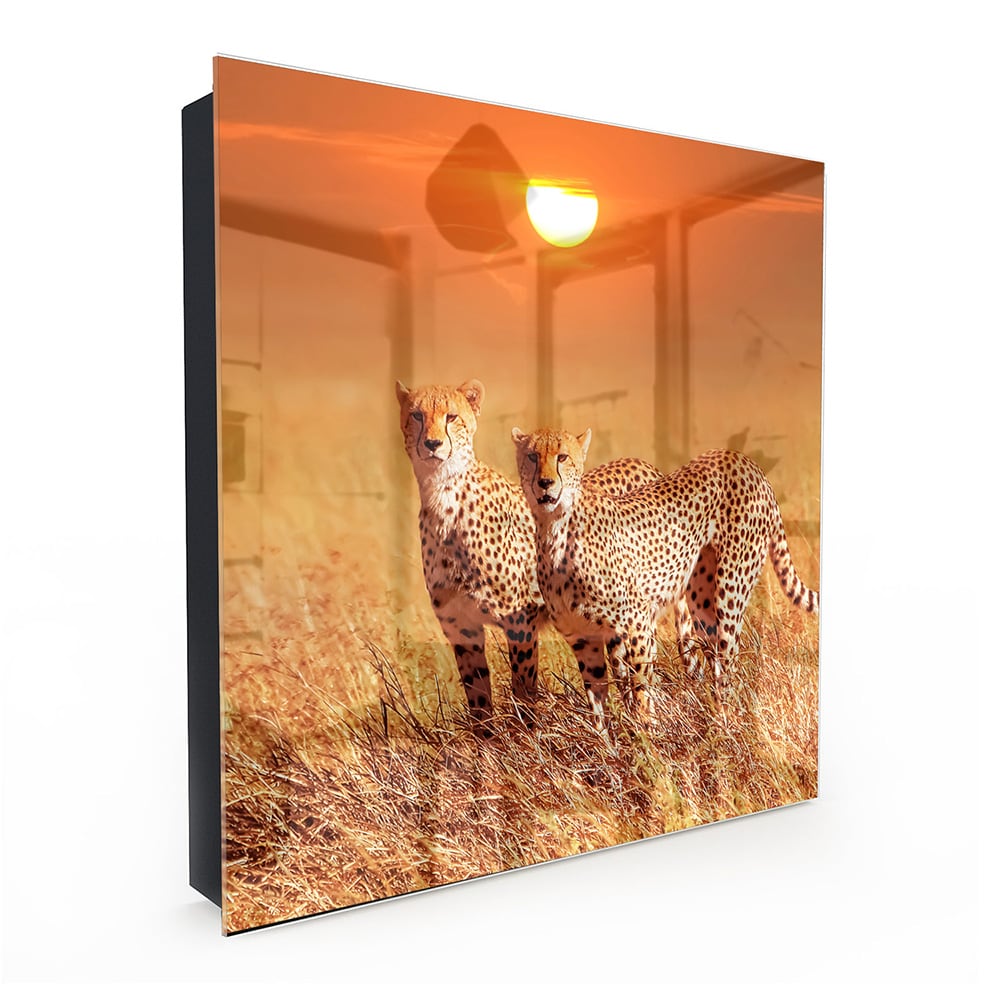 Sleutelkastje - Gehard Glas - Twee Cheetahs