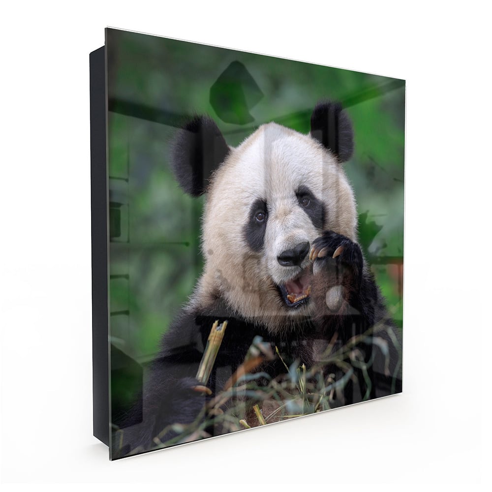 Sleutelkastje - Gehard Glas - Blije Panda