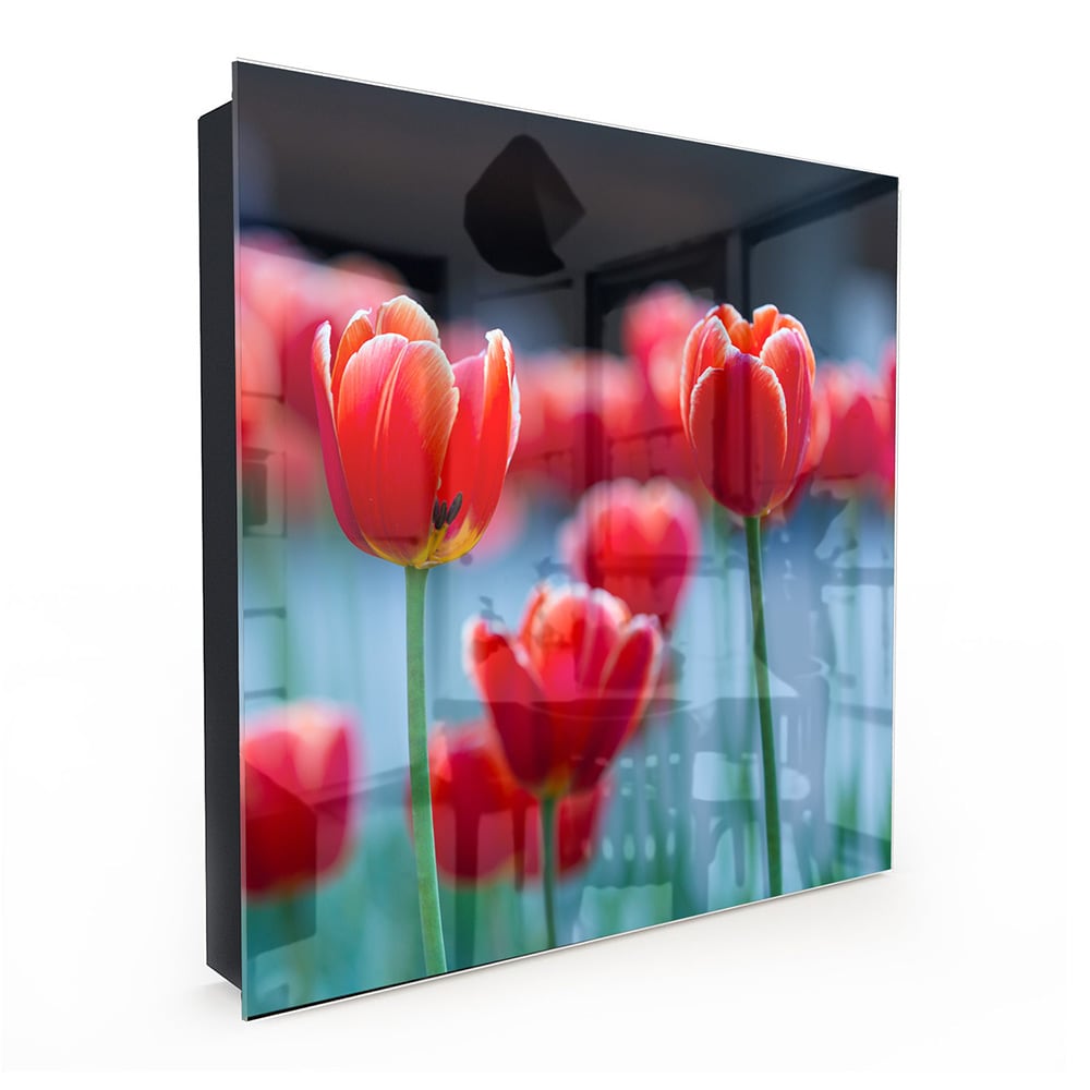 Sleutelkastje - Gehard Glas - Rode Tulpen