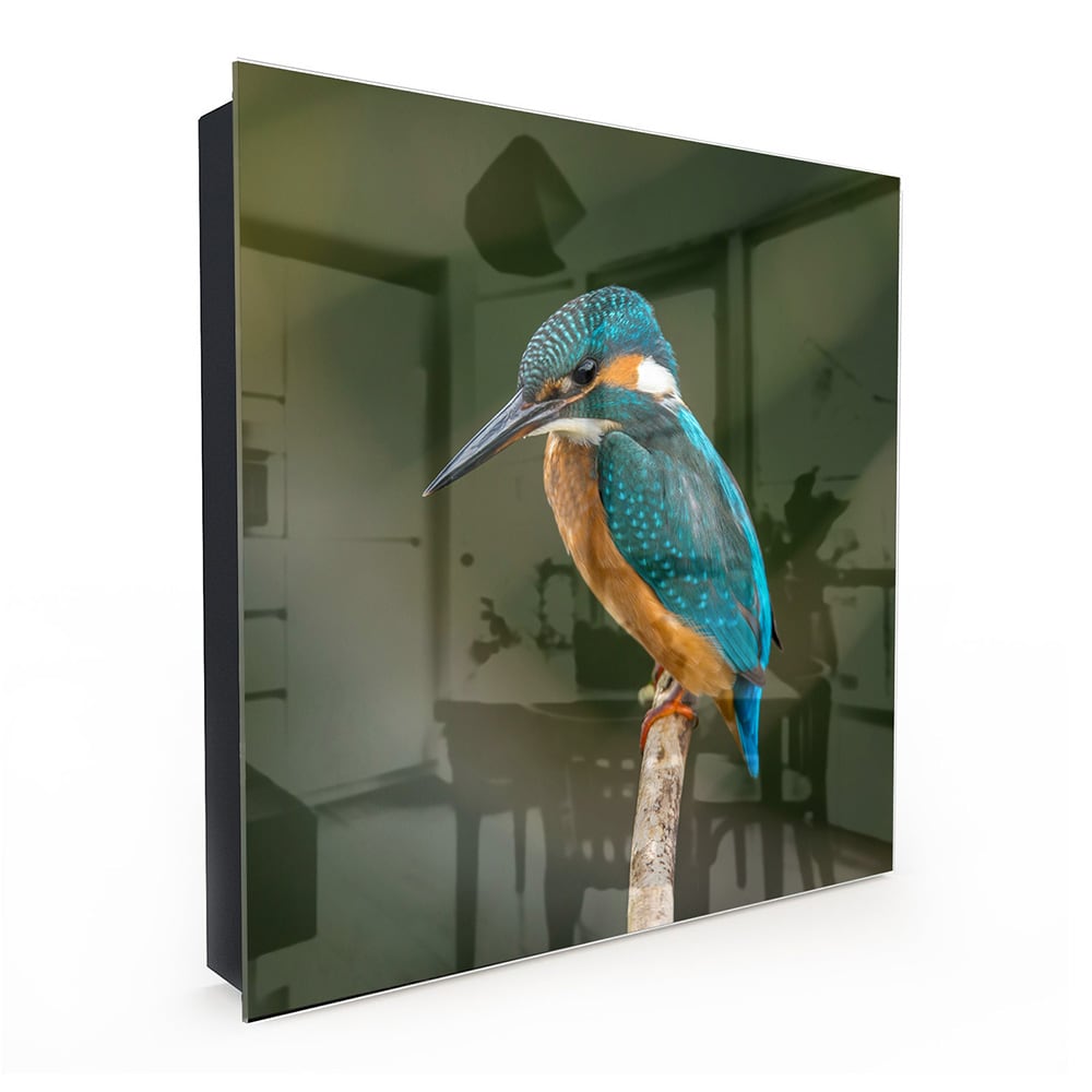 Sleutelkastje - Gehard Glas - Kleurrijke ijsvogel