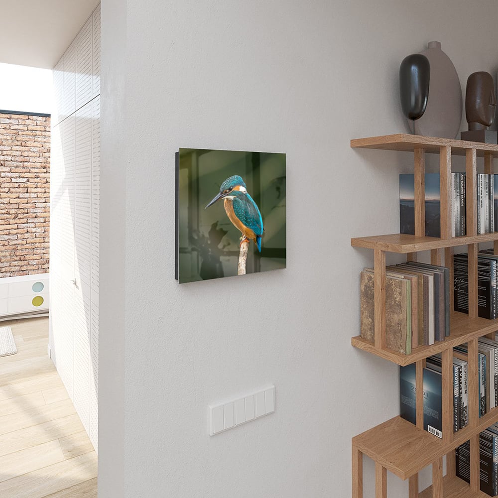 Sleutelkastje - Gehard Glas - Kleurrijke ijsvogel