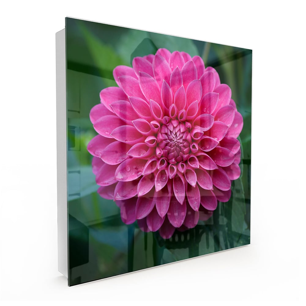 Sleutelkastje - Gehard Glas - Roze Dahlia