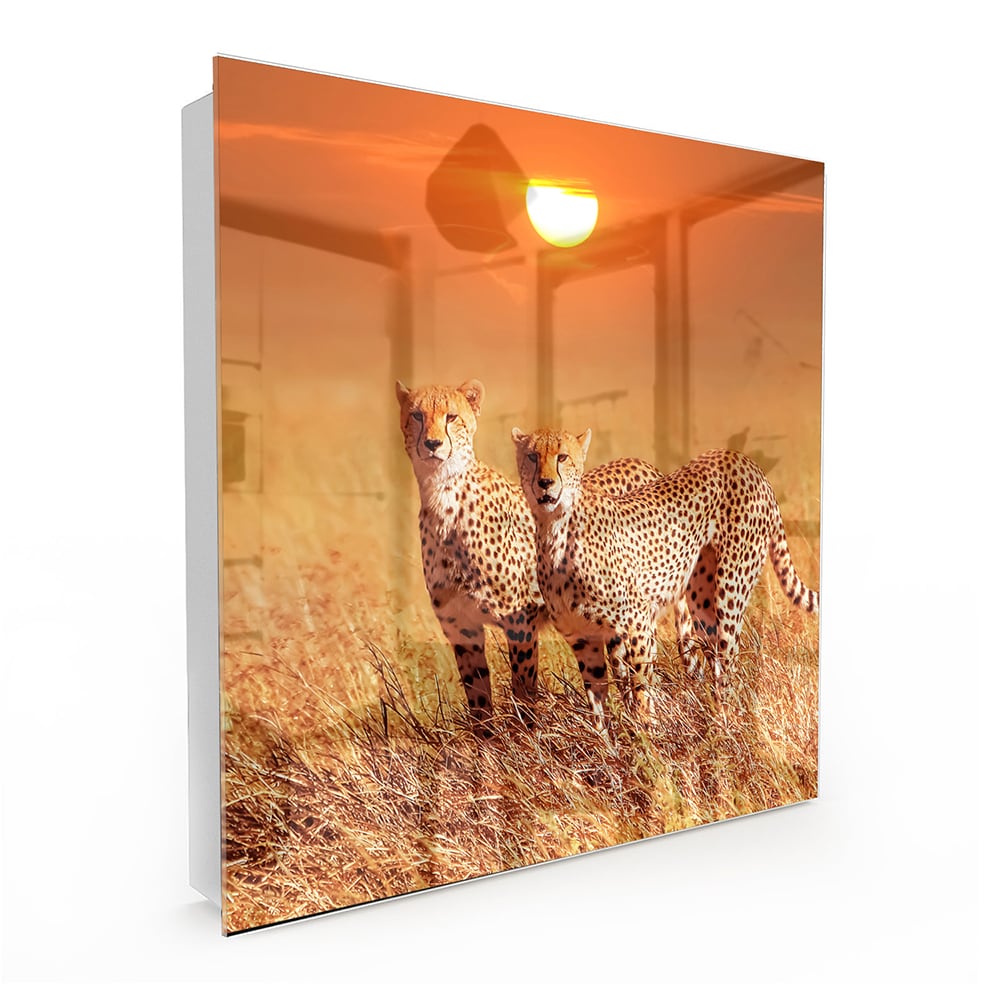 Sleutelkastje - Gehard Glas - Twee Cheetahs