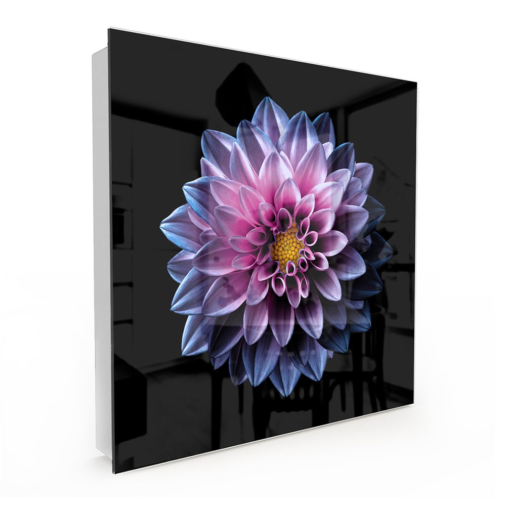 Sleutelkastje - Gehard Glas - Blauw/Roze Dahlia