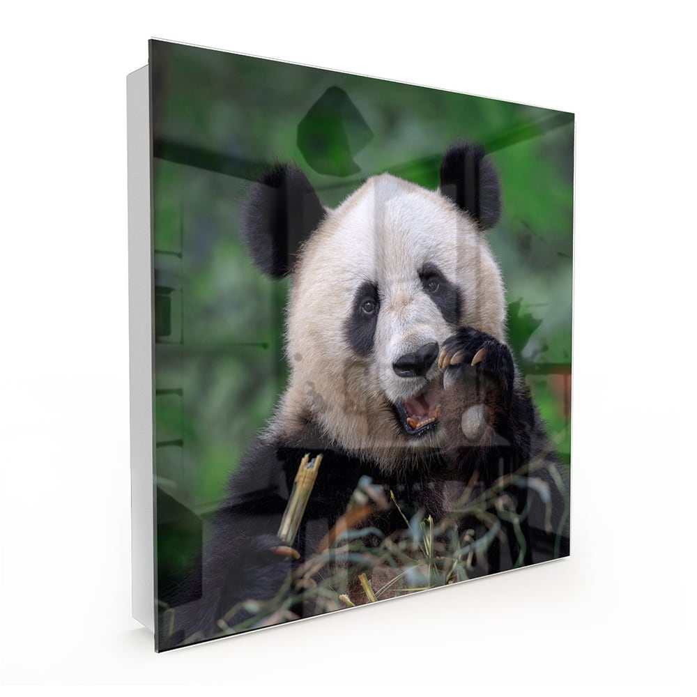 Sleutelkastje - Gehard Glas - Blije Panda