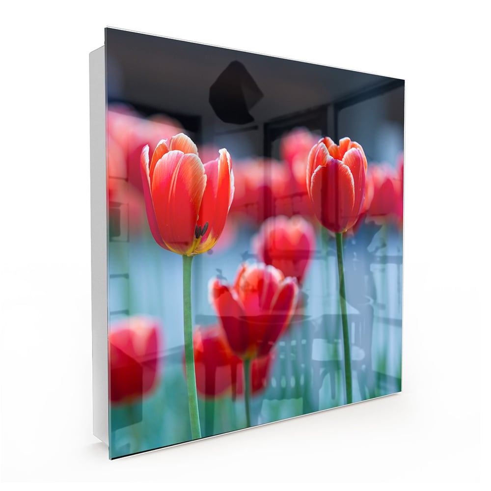 Sleutelkastje - Gehard Glas - Rode Tulpen