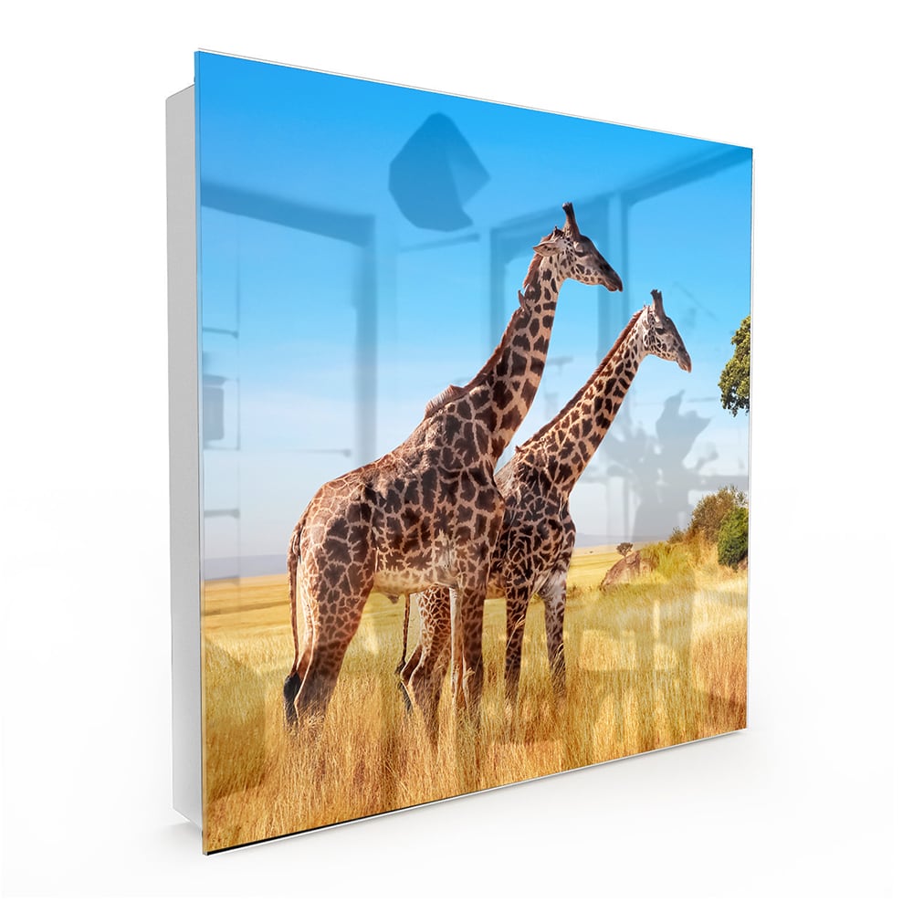 Sleutelkastje - Gehard Glas - Giraffen