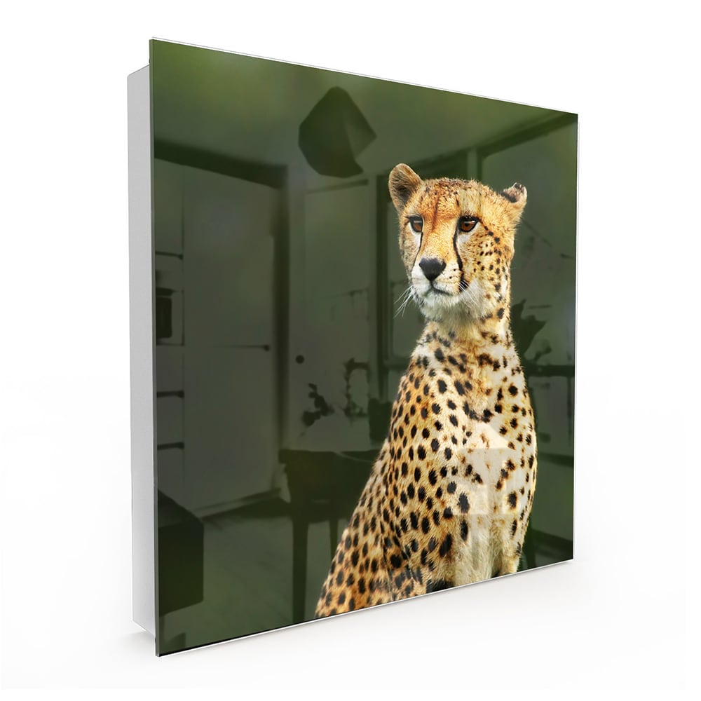 Sleutelkastje - Gehard Glas - Wilde Cheetah