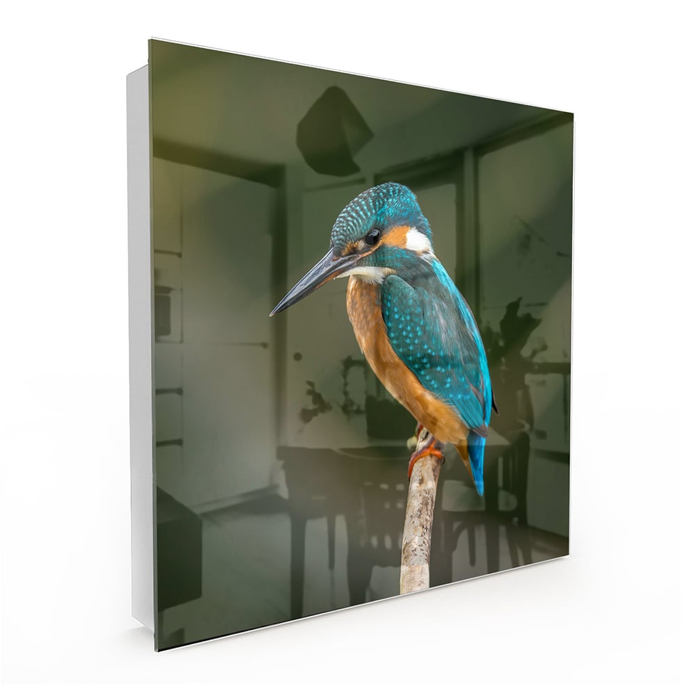 Sleutelkastje - Gehard Glas - Kleurrijke ijsvogel