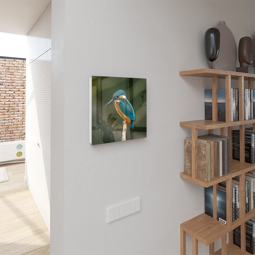 Sleutelkastje - Gehard Glas - Kleurrijke ijsvogel