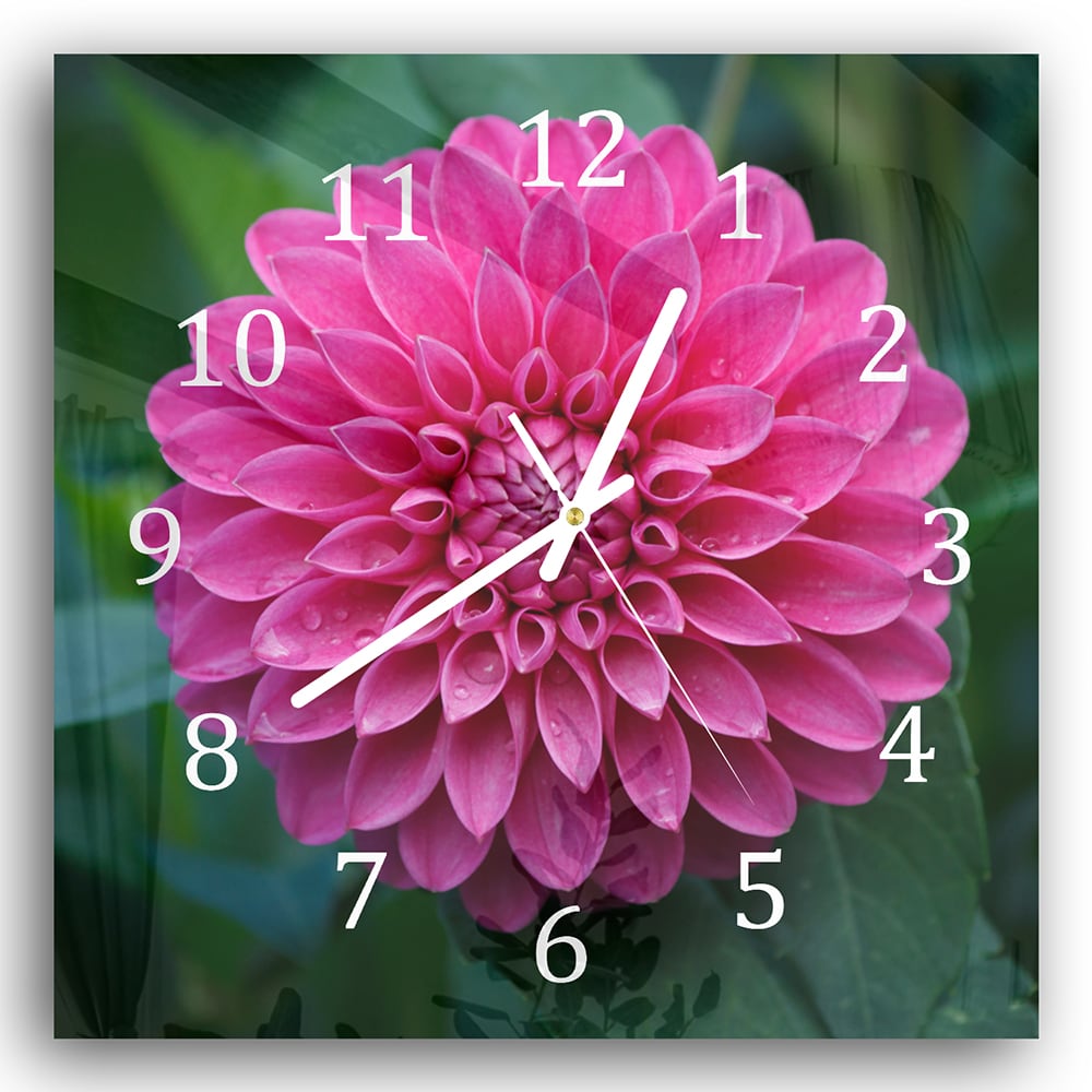 Wandklok 30x30 - Gehard Glas - Roze Dahlia