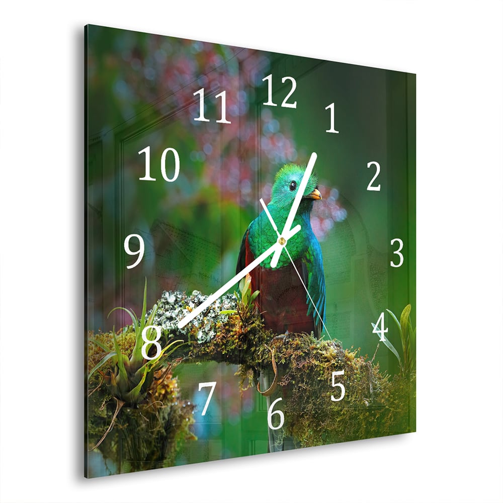 Wandklok 30x30 - Gehard Glas - Quetzal Vogel