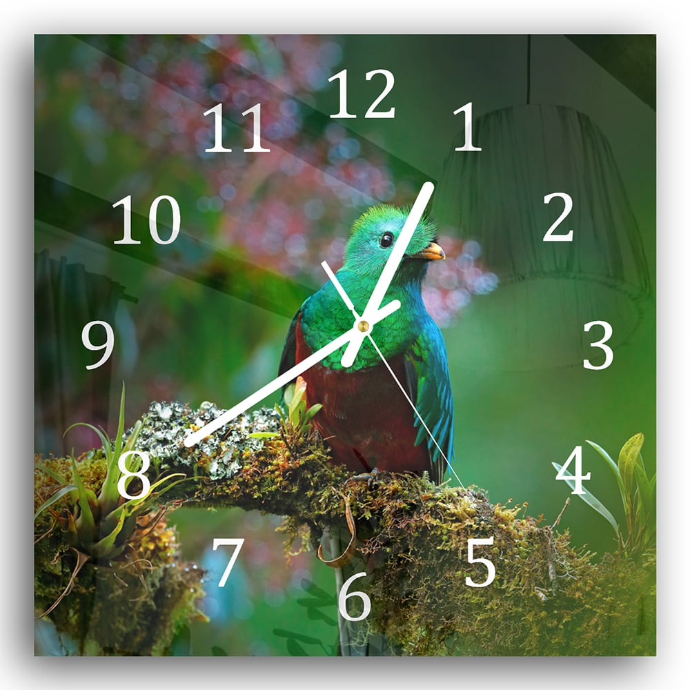 Wandklok 30x30 - Gehard Glas - Quetzal Vogel