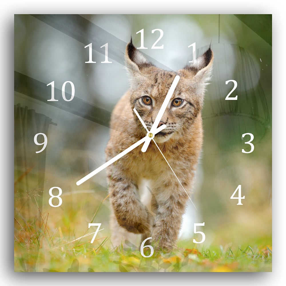 Wandklok 30x30 - Gehard Glas - Jonge Lynx