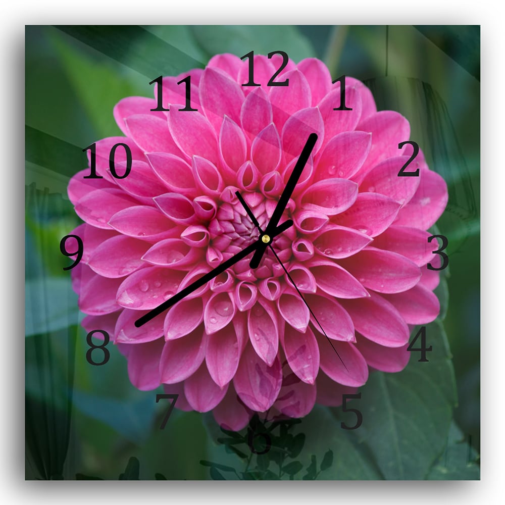 Wandklok 30x30 - Gehard Glas - Roze Dahlia