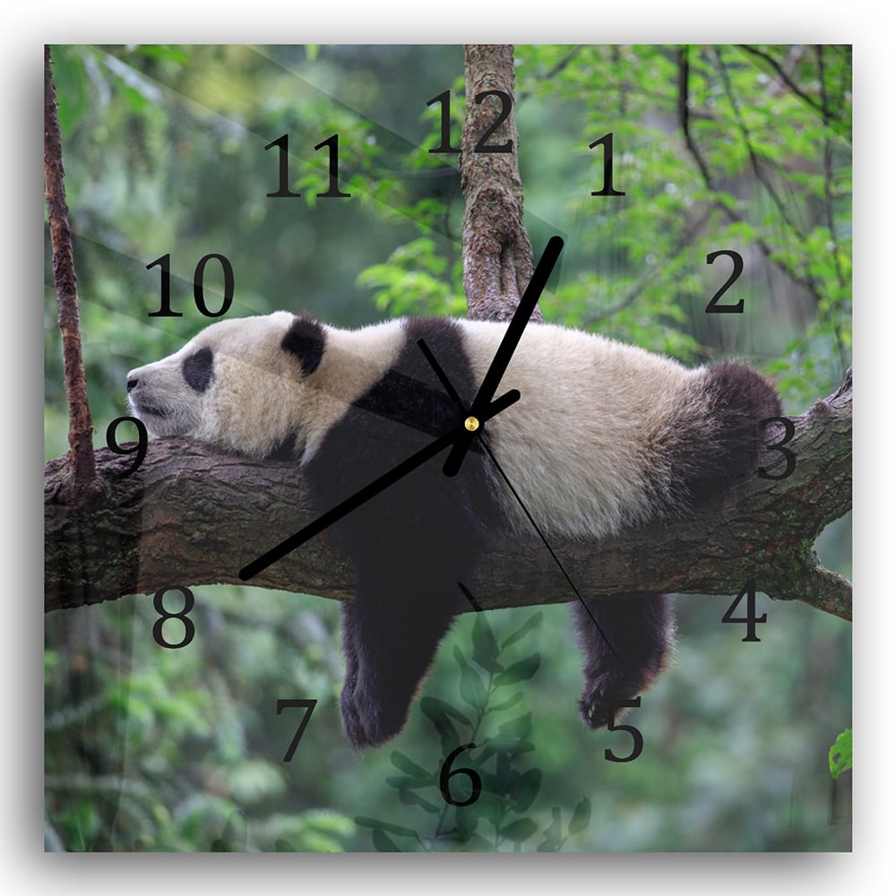 Wandklok 30x30 - Gehard Glas - Panda