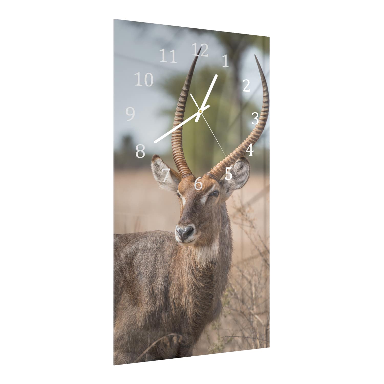 Wandklok 30x60  - Gehard Glas - Waterbok