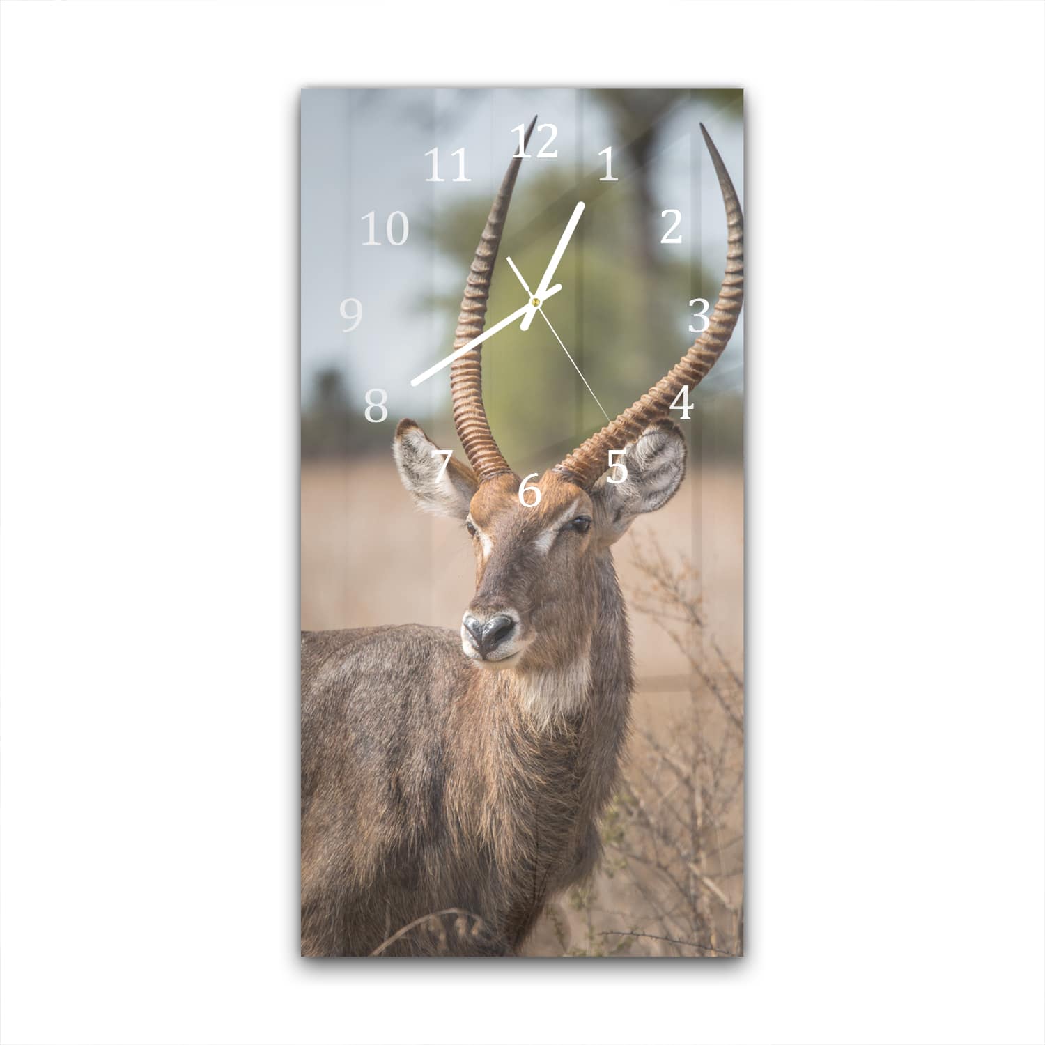 Wandklok 30x60  - Gehard Glas - Waterbok