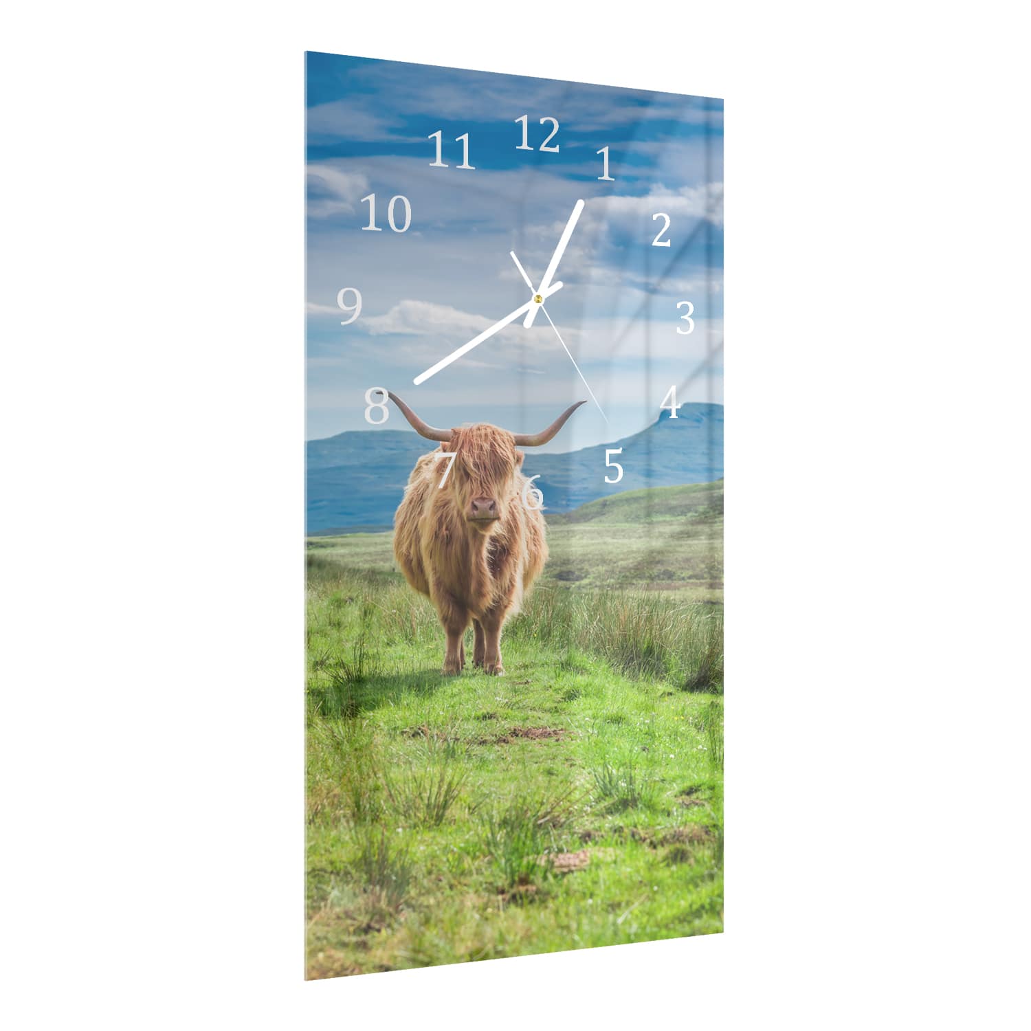 Wandklok 30x60  - Gehard Glas - Wollige Schotse Hooglander