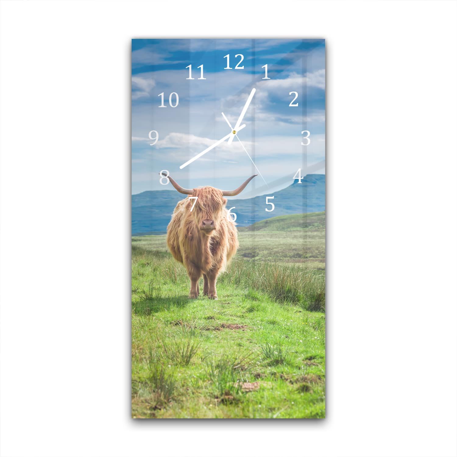 Wandklok 30x60  - Gehard Glas - Wollige Schotse Hooglander