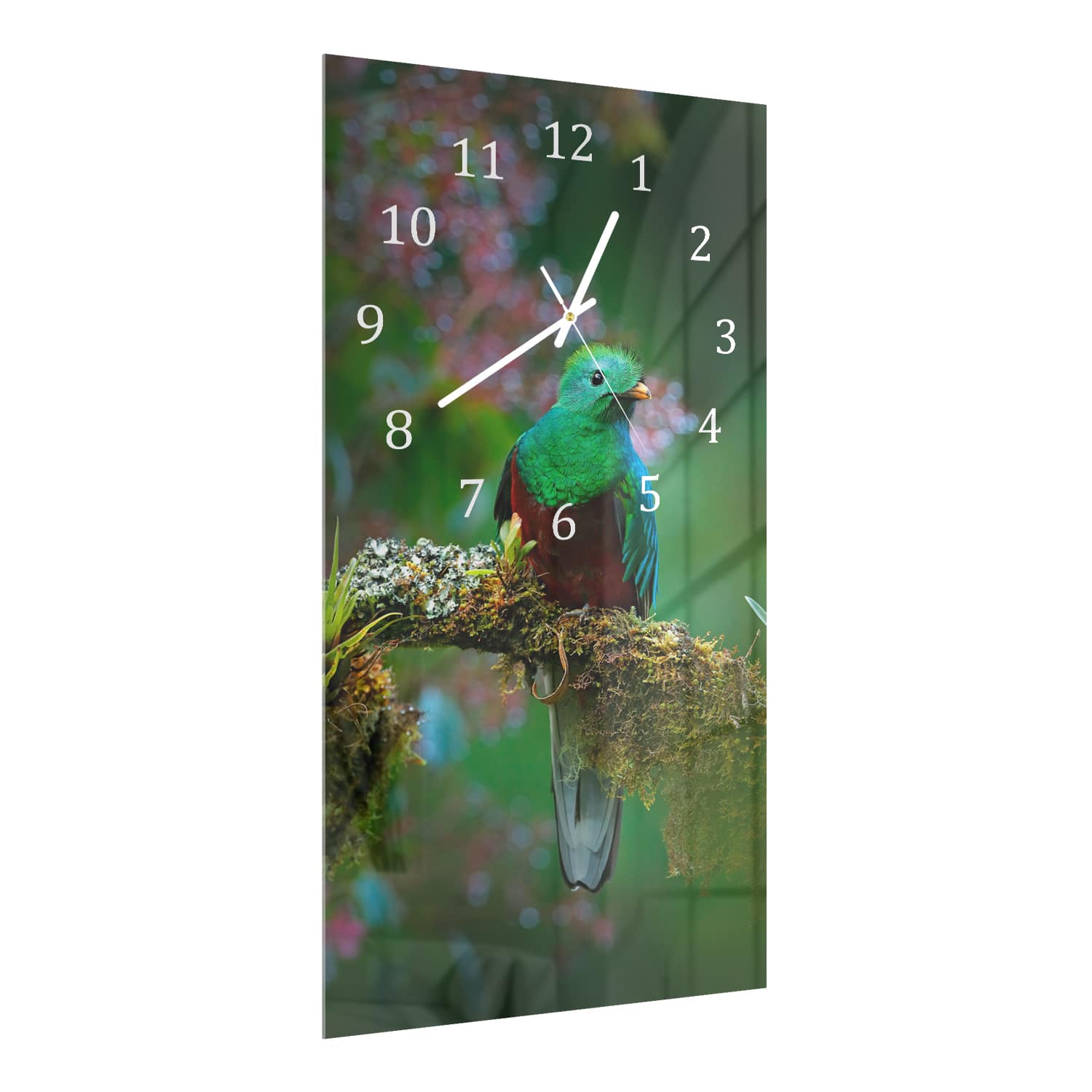 Wandklok 30x60  - Gehard Glas - Quetzal Vogel