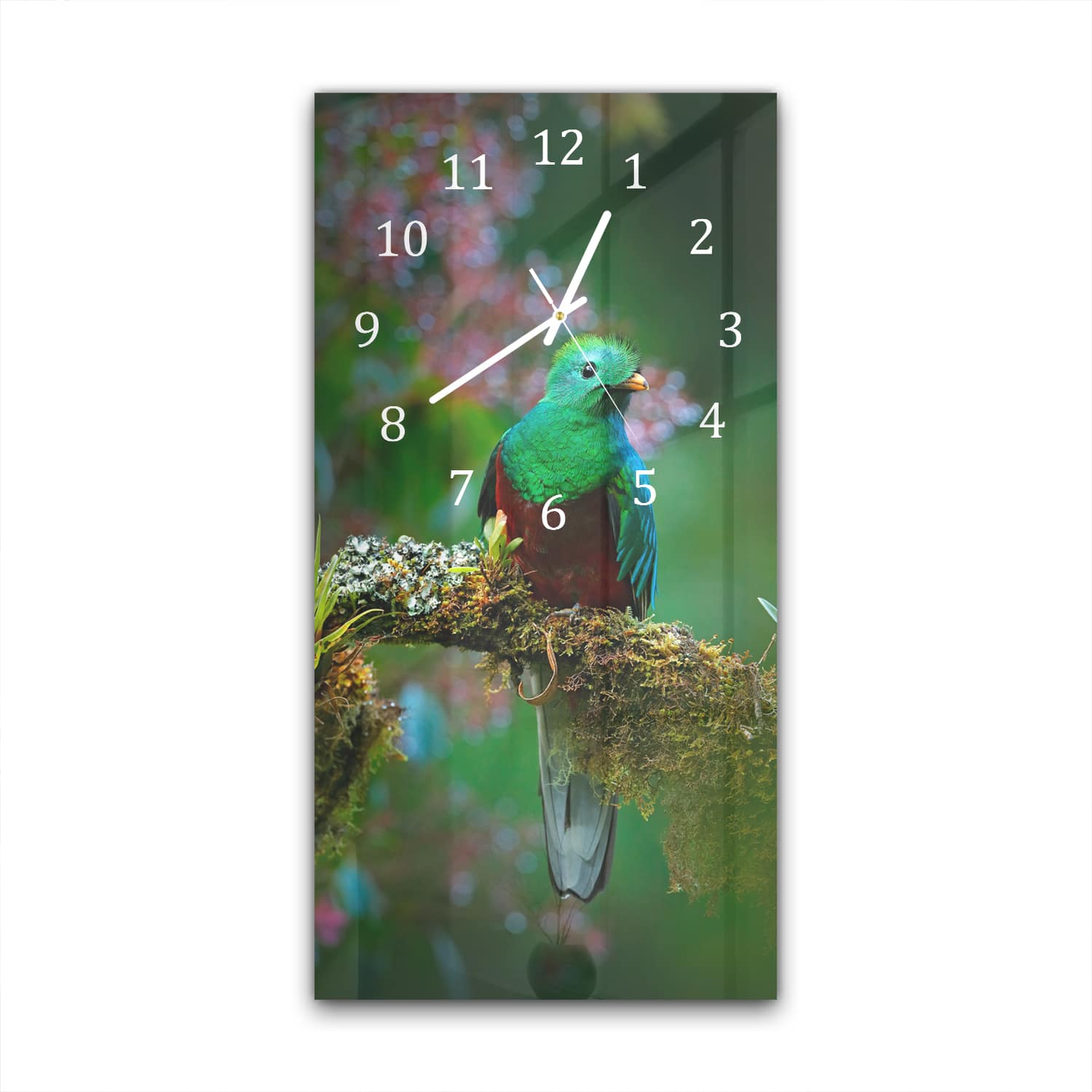 Wandklok 30x60  - Gehard Glas - Quetzal Vogel