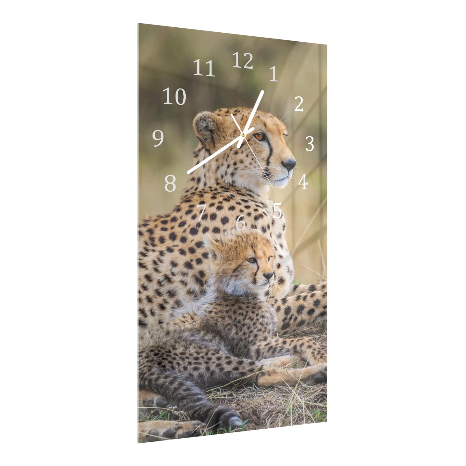 Wandklok 30x60  - Gehard Glas - Cheetah met Pup