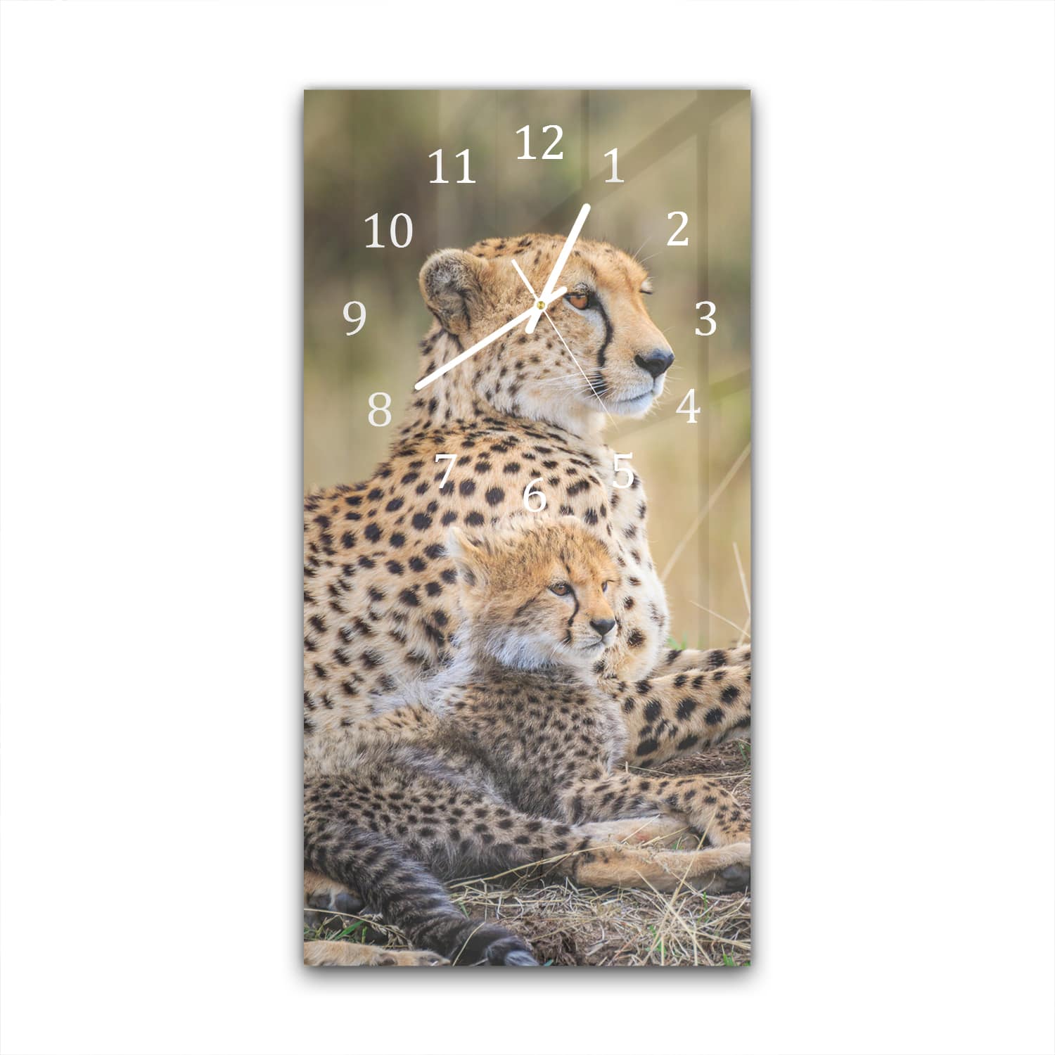 Wandklok 30x60  - Gehard Glas - Cheetah met Pup