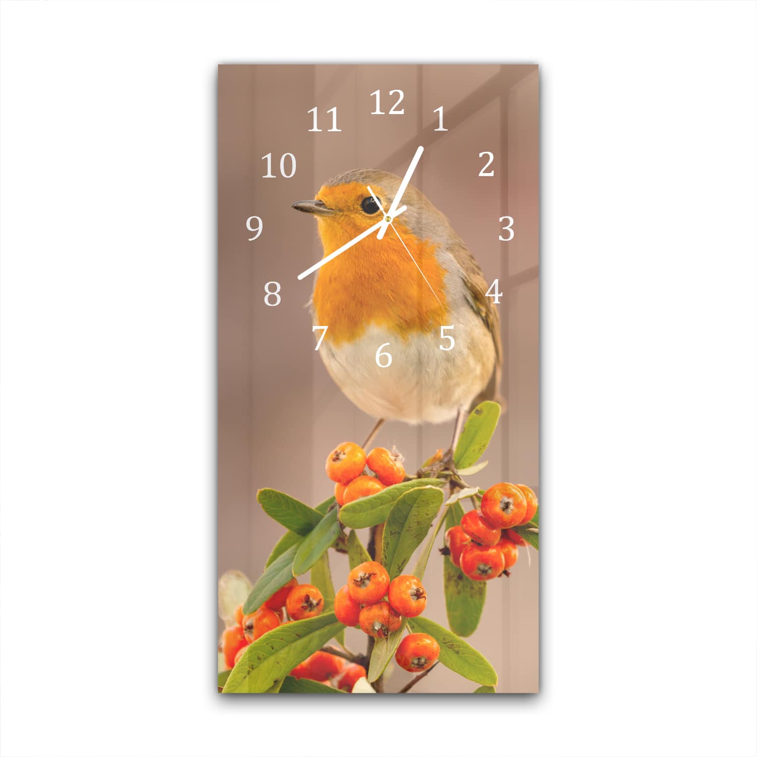 Wandklok 30x60  - Gehard Glas - Roodborst Vogel