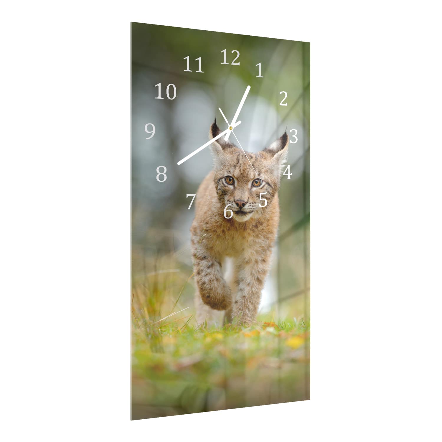 Wandklok 30x60  - Gehard Glas - Jonge Lynx