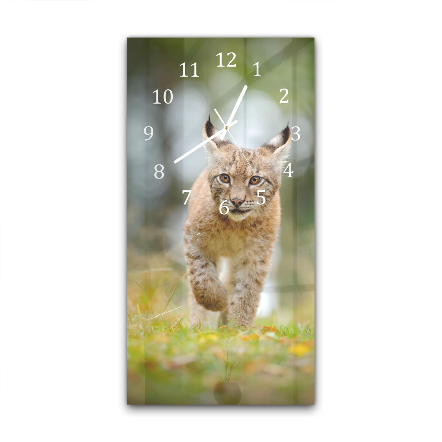 Wandklok 30x60  - Gehard Glas - Jonge Lynx